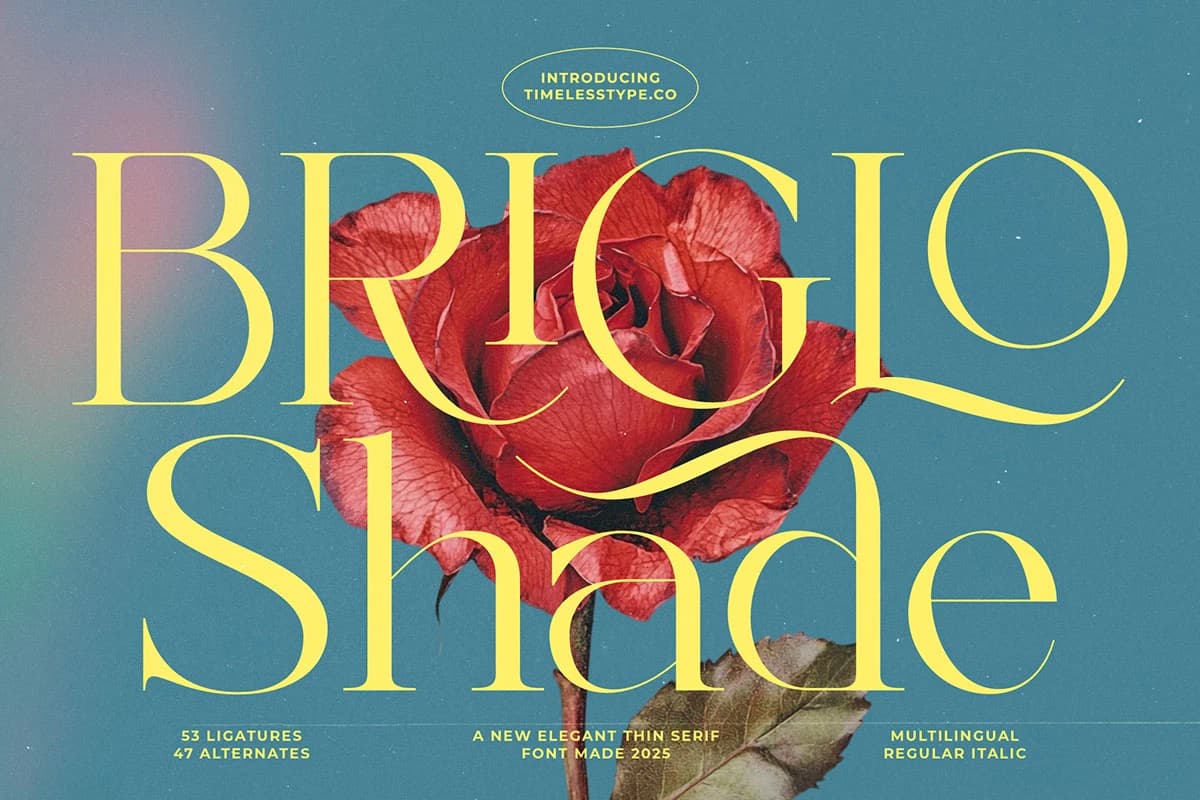 Preview 1 for Briglo Shade - Elegant Thin Font