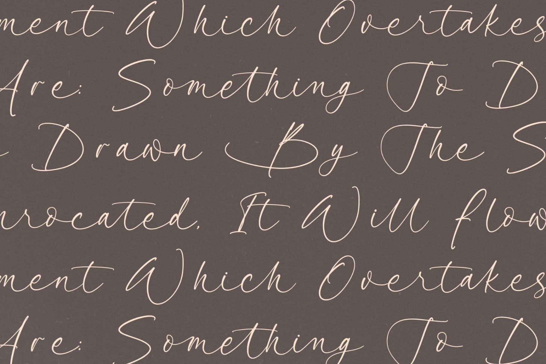 Preview 9 for Garden Silent - Elegant Script Font