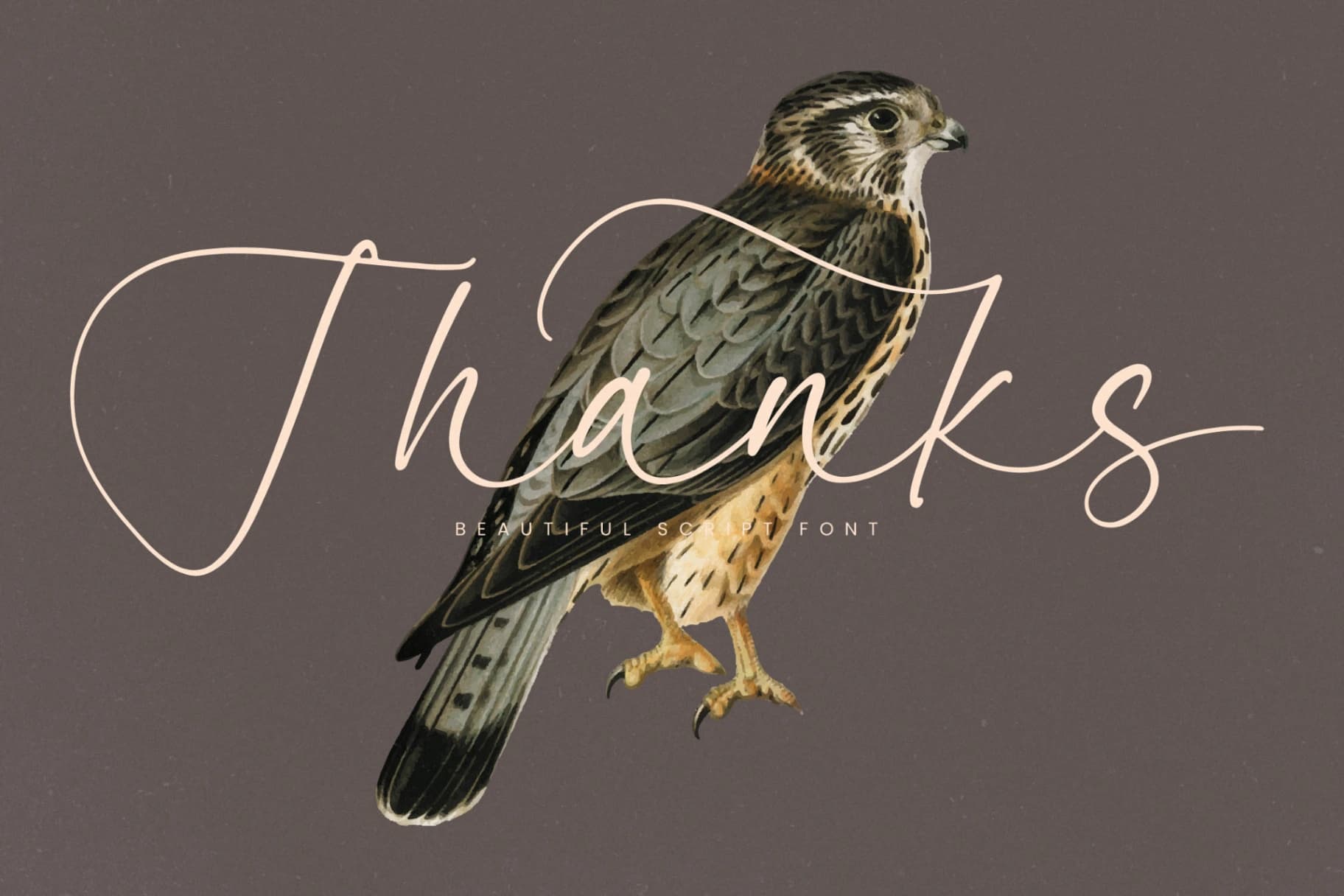 Preview 20 for Garden Silent - Elegant Script Font