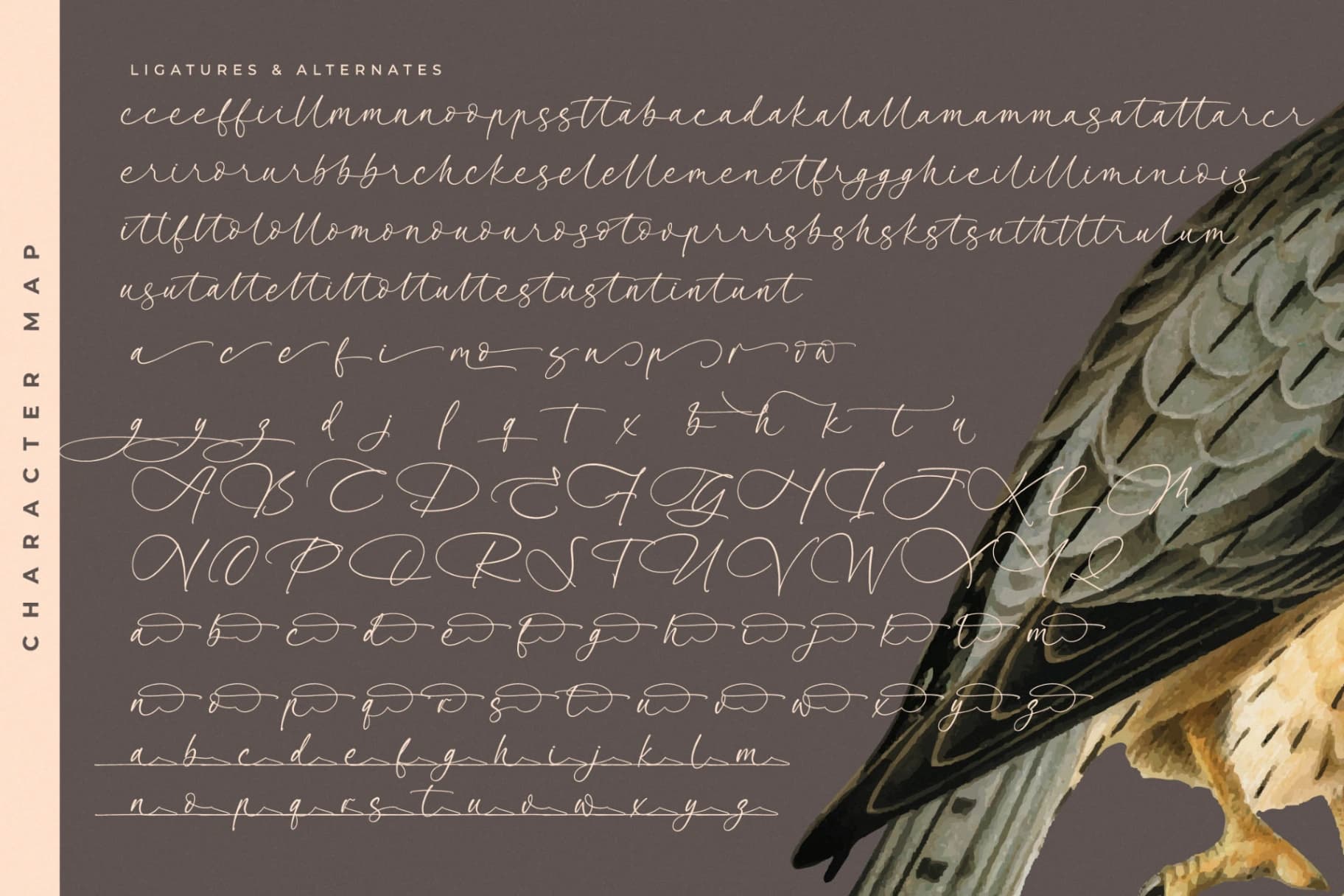 Preview 19 for Garden Silent - Elegant Script Font