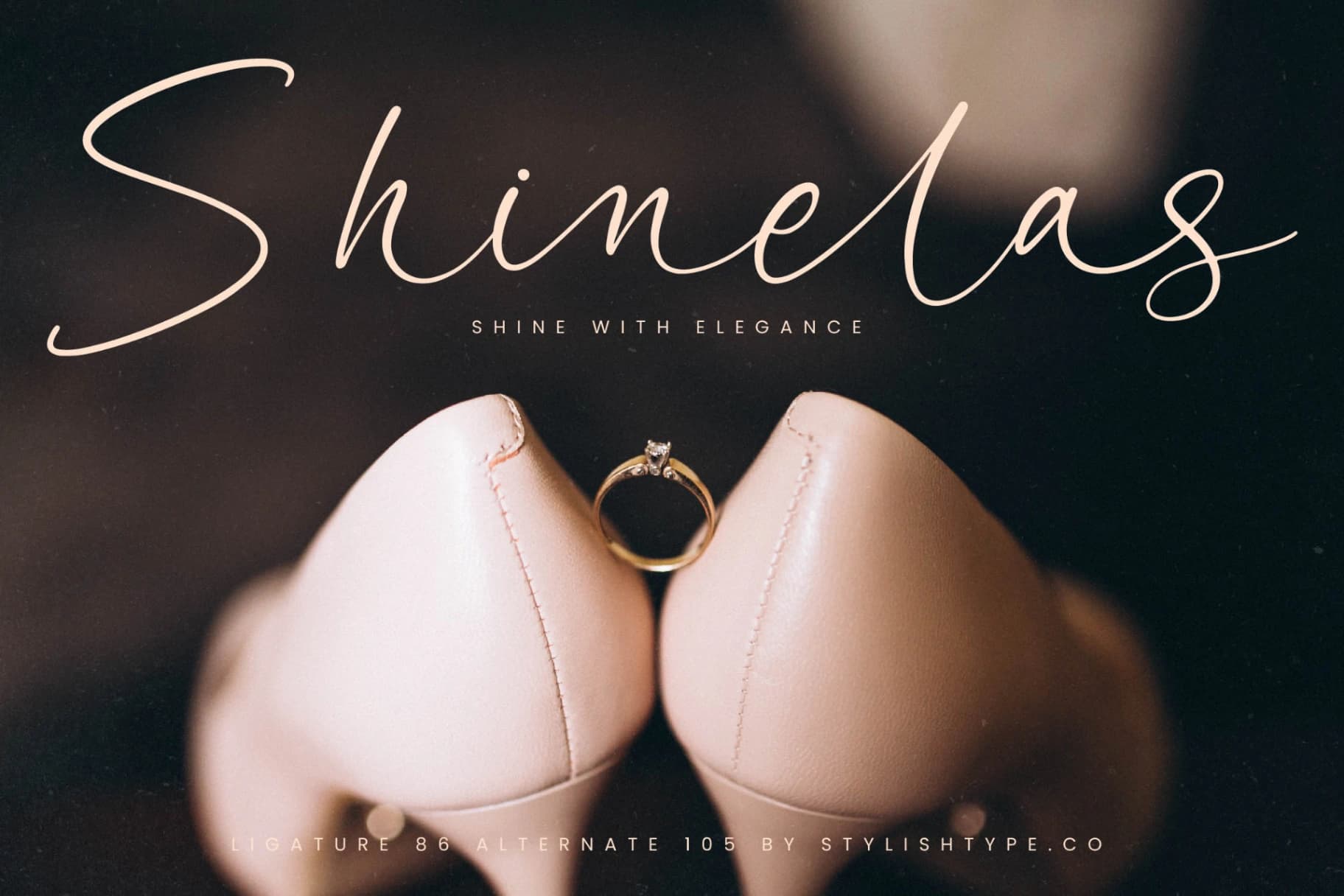 Preview 10 for Garden Silent - Elegant Script Font