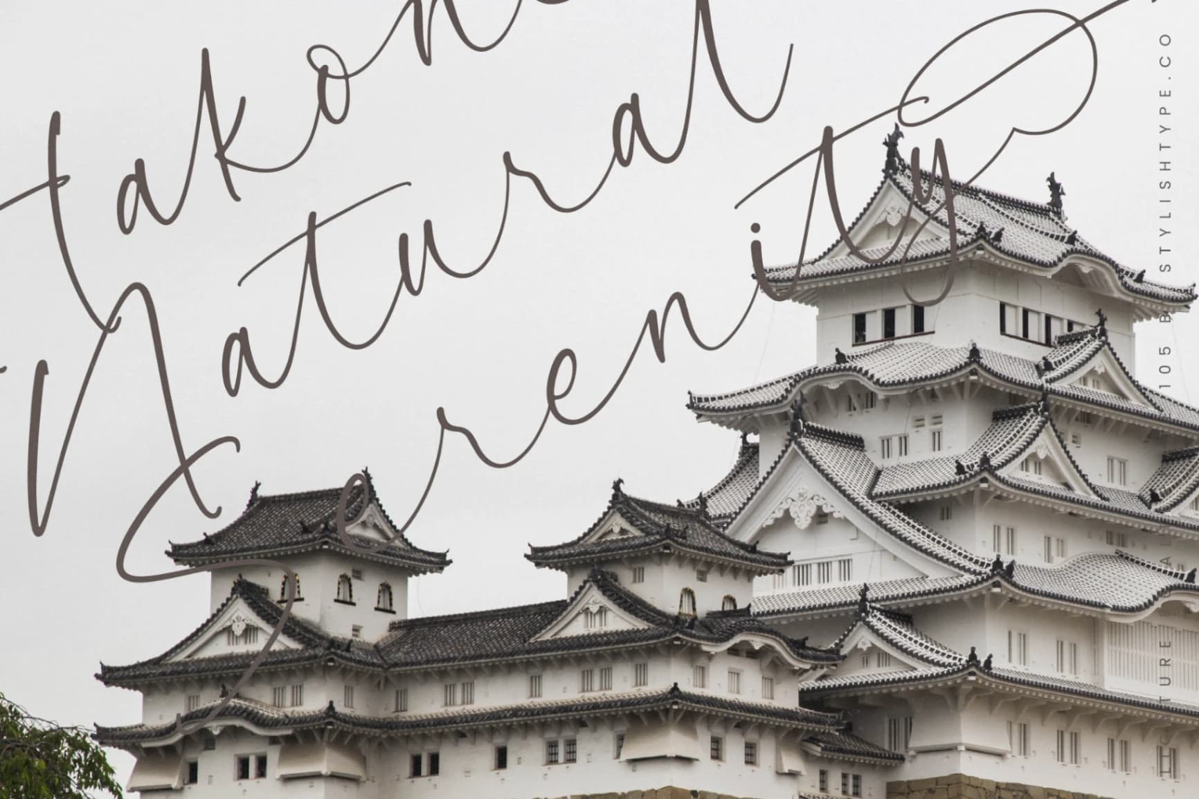 Preview 14 for Garden Silent - Elegant Script Font
