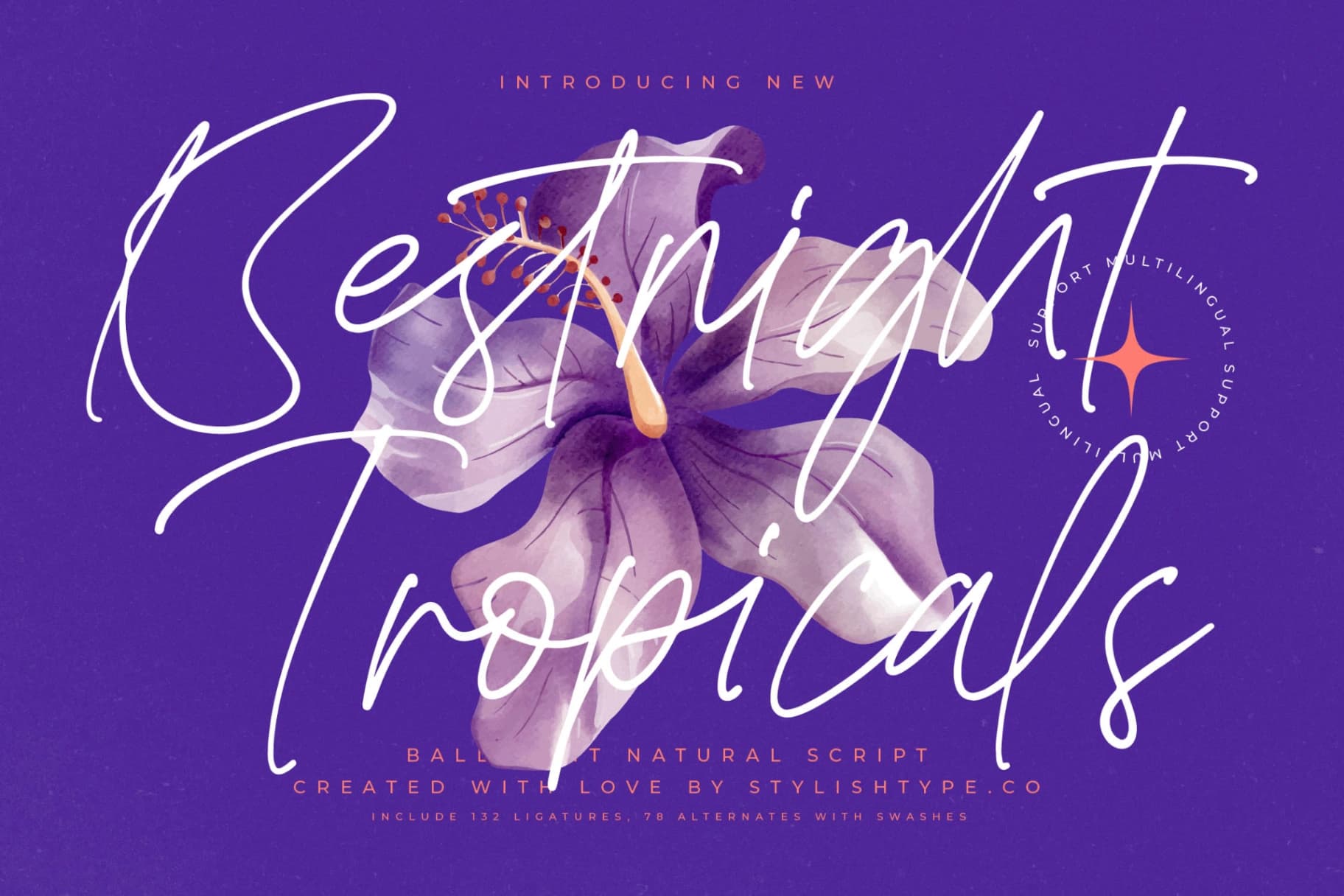 Preview of Bestnight Tropicals - Ballpoint Natural Script font