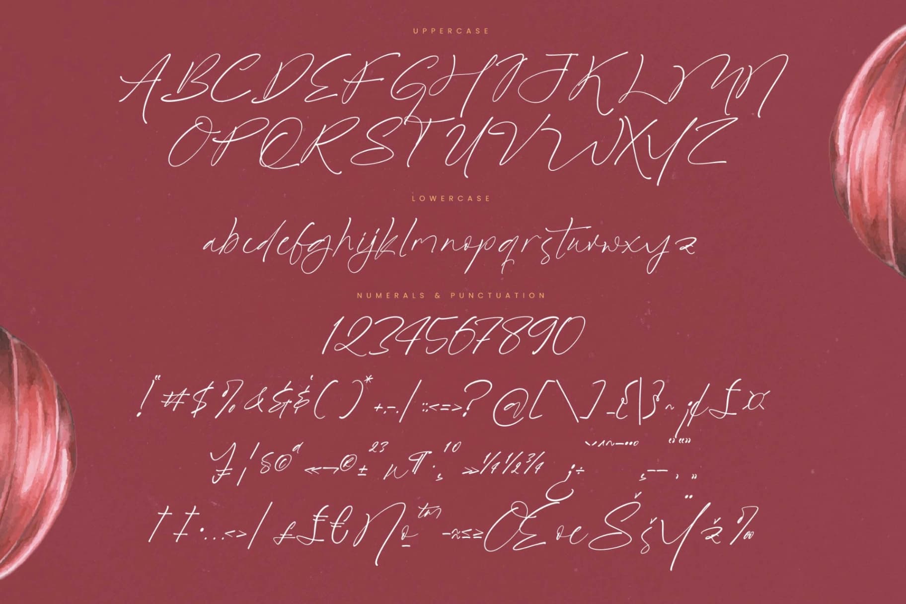 Preview 18 for Royalty Prestige - Modern Calligraphy Script