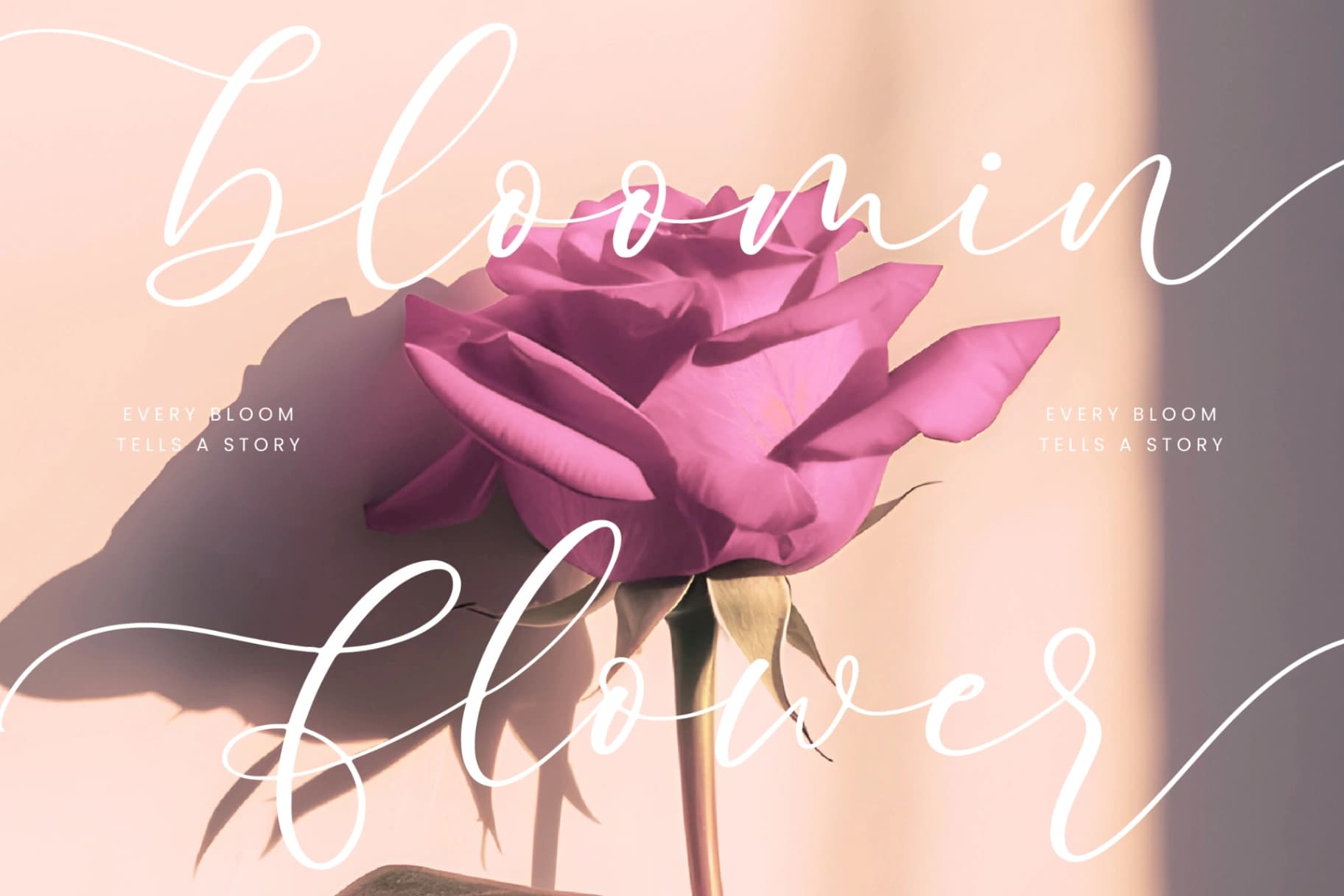 Preview 11 for Pertysh Tulipita - Stylish Calligraphy Font