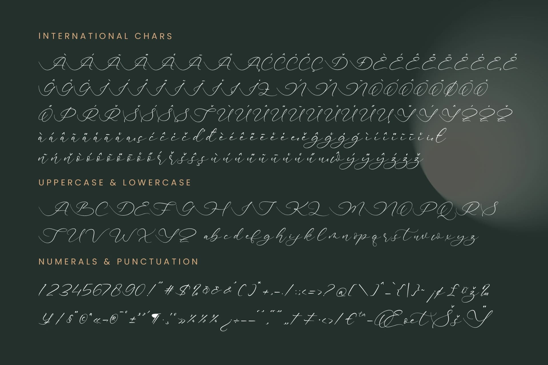 Preview 18 for Adventur Kintent - Stylish Calligraphy Font