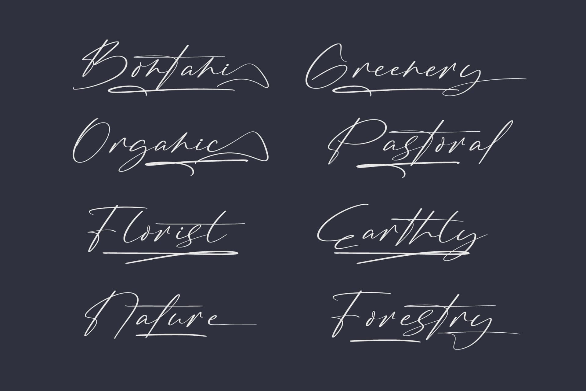 Preview 10 for Brington Australi - Stylish Signature Font