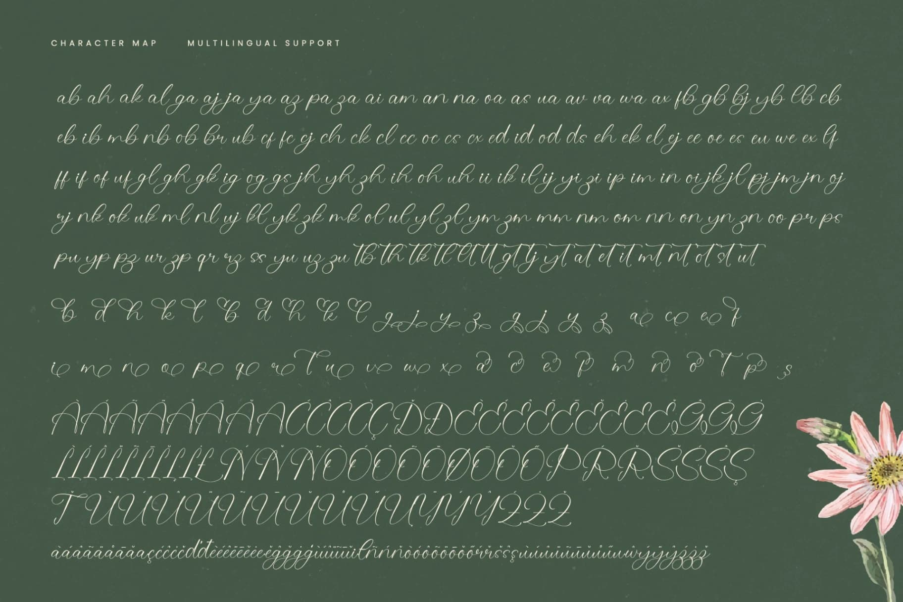 Preview 19 for Evelyn Scarlet - Stylish Calligraphy Font