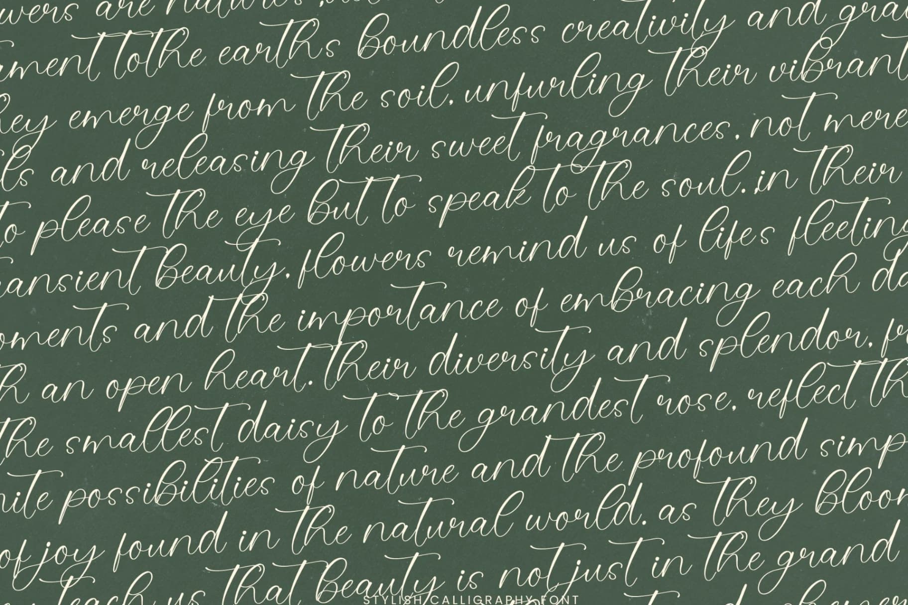 Preview 15 for Evelyn Scarlet - Stylish Calligraphy Font