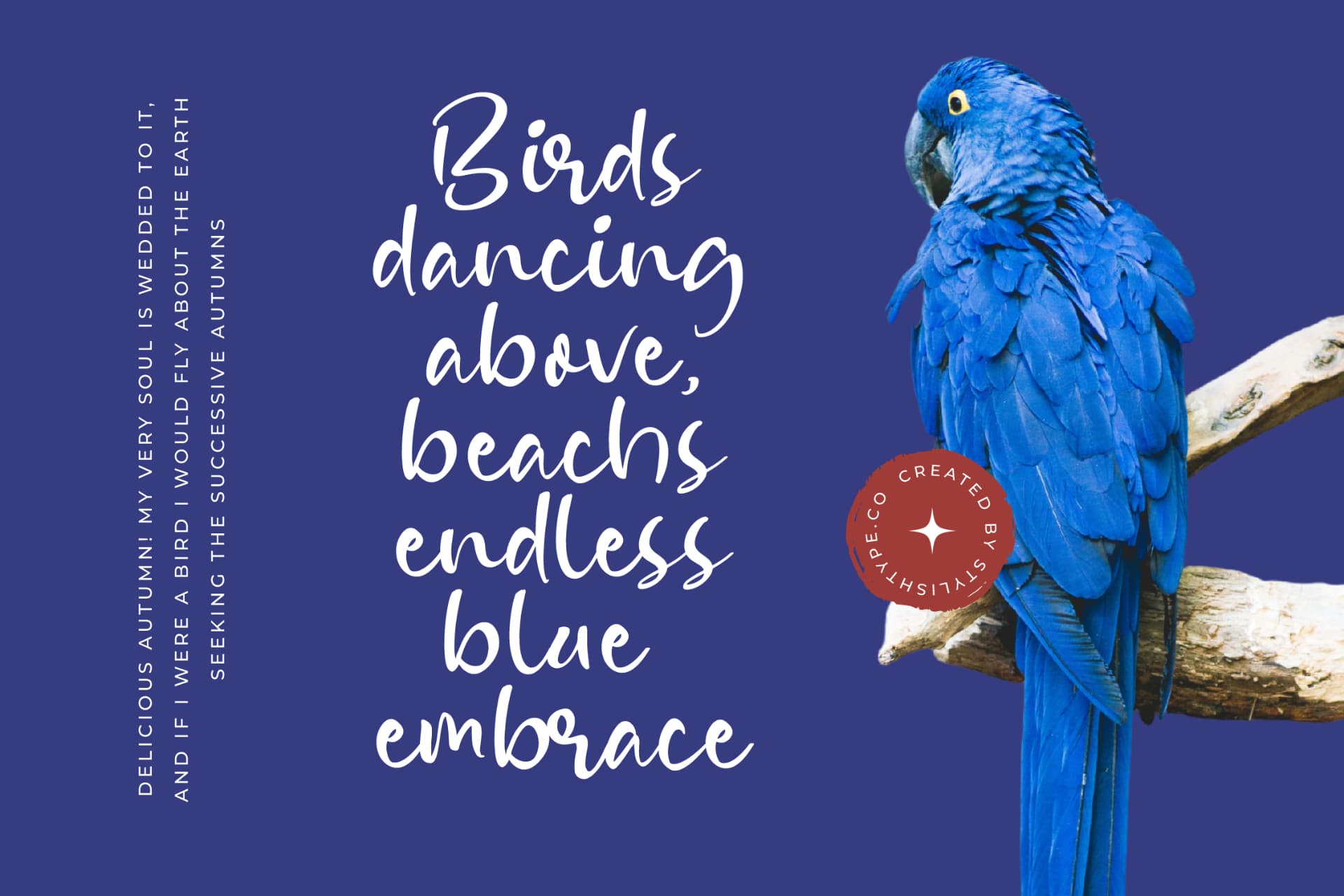 Preview 8 for Blissful Pedals - Quirky Handwritten Font