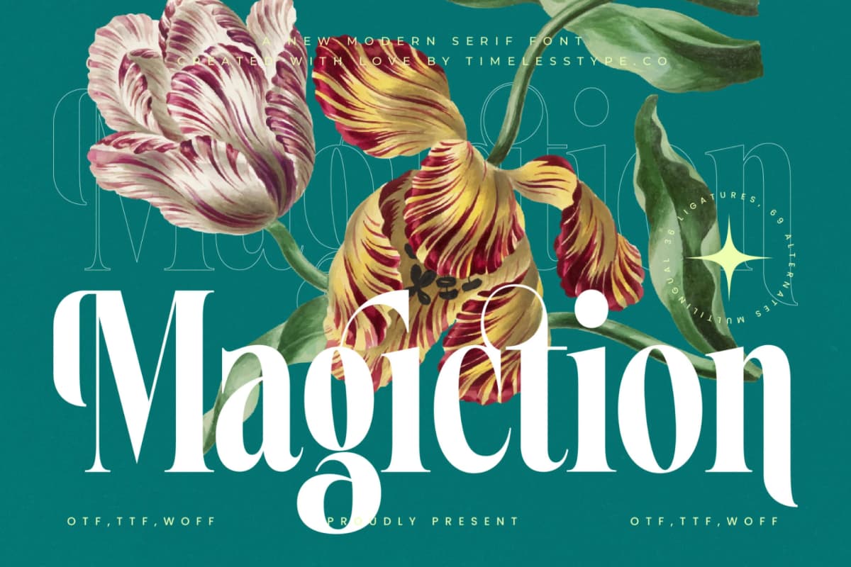 Magiction - New Modern Serif Font font preview