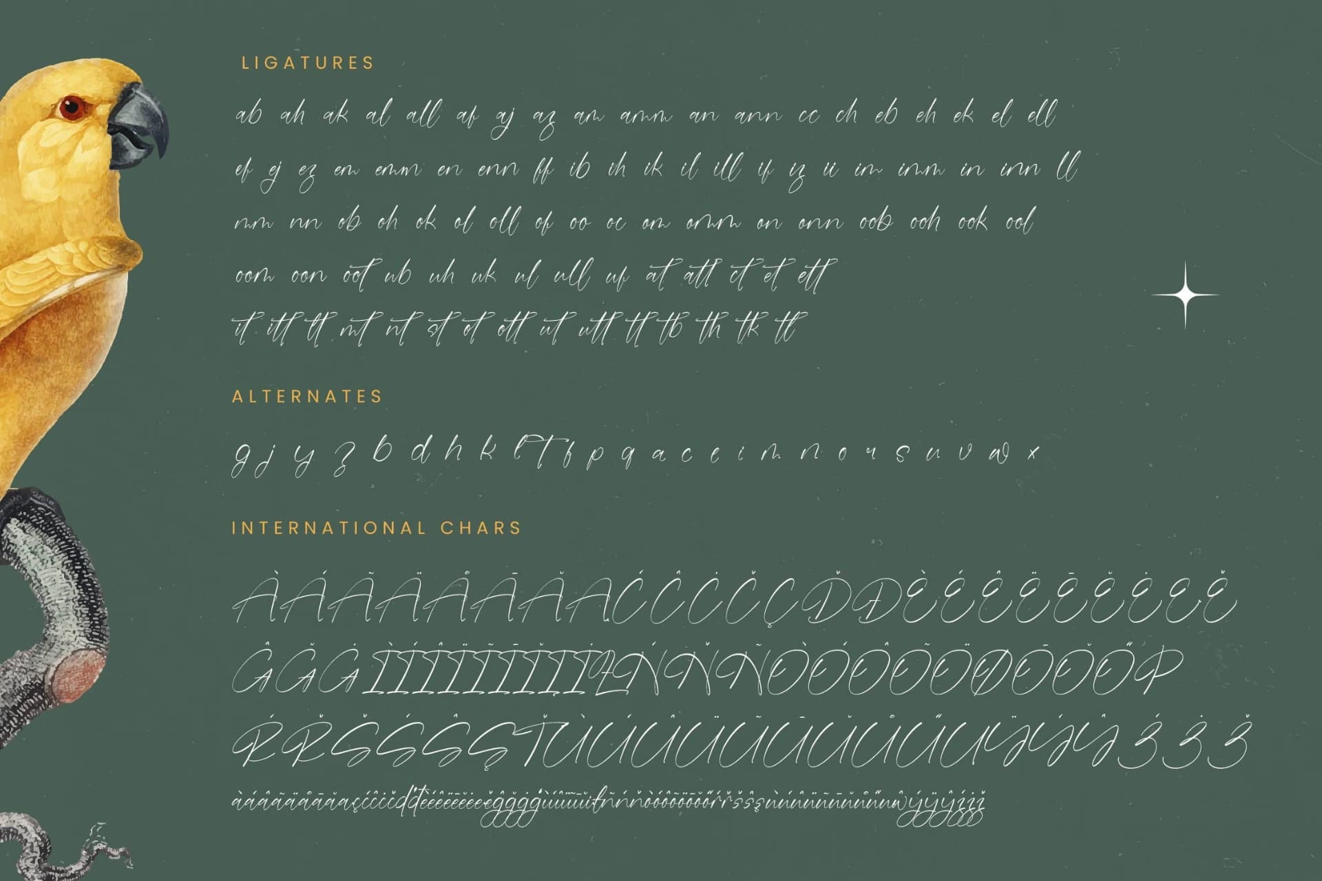 Preview 19 for Blaster Nature - Natural Handwritten Script Font