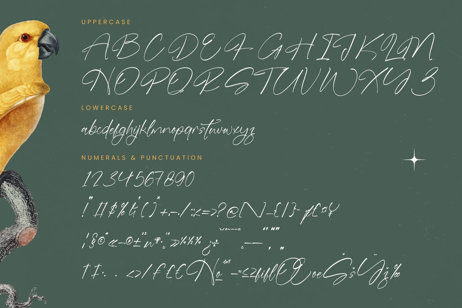 Preview 18 for Blaster Nature - Natural Handwritten Script Font