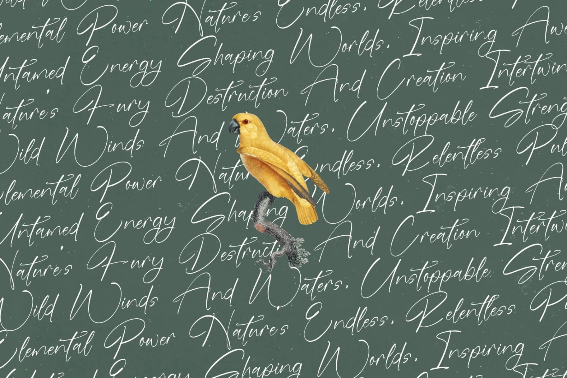 Preview 11 for Blaster Nature - Natural Handwritten Script Font
