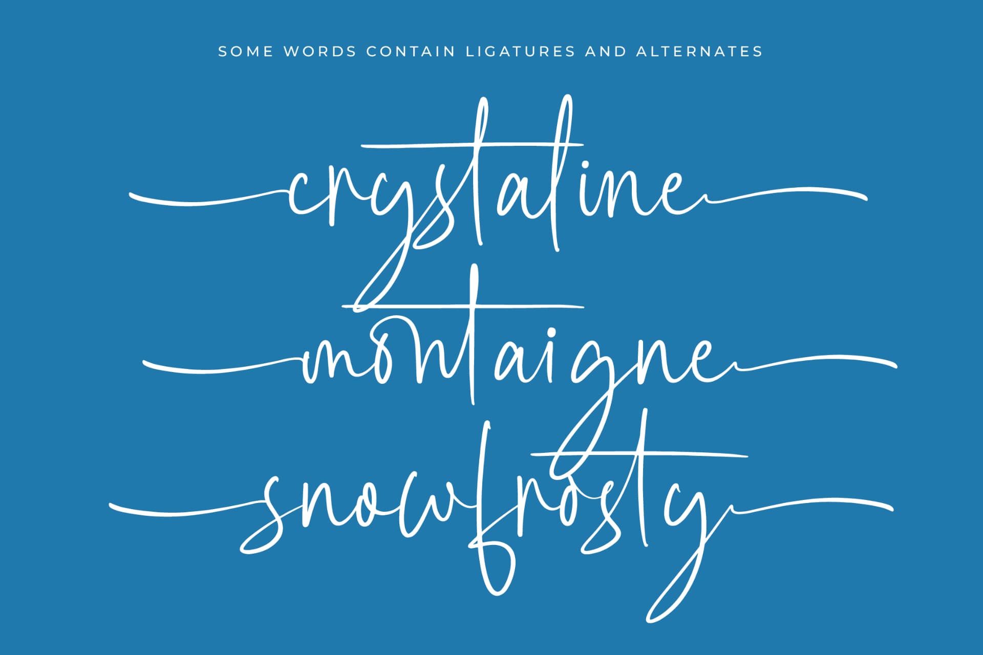 Preview 15 for Southampton Brilliant - Stylish Signature Font