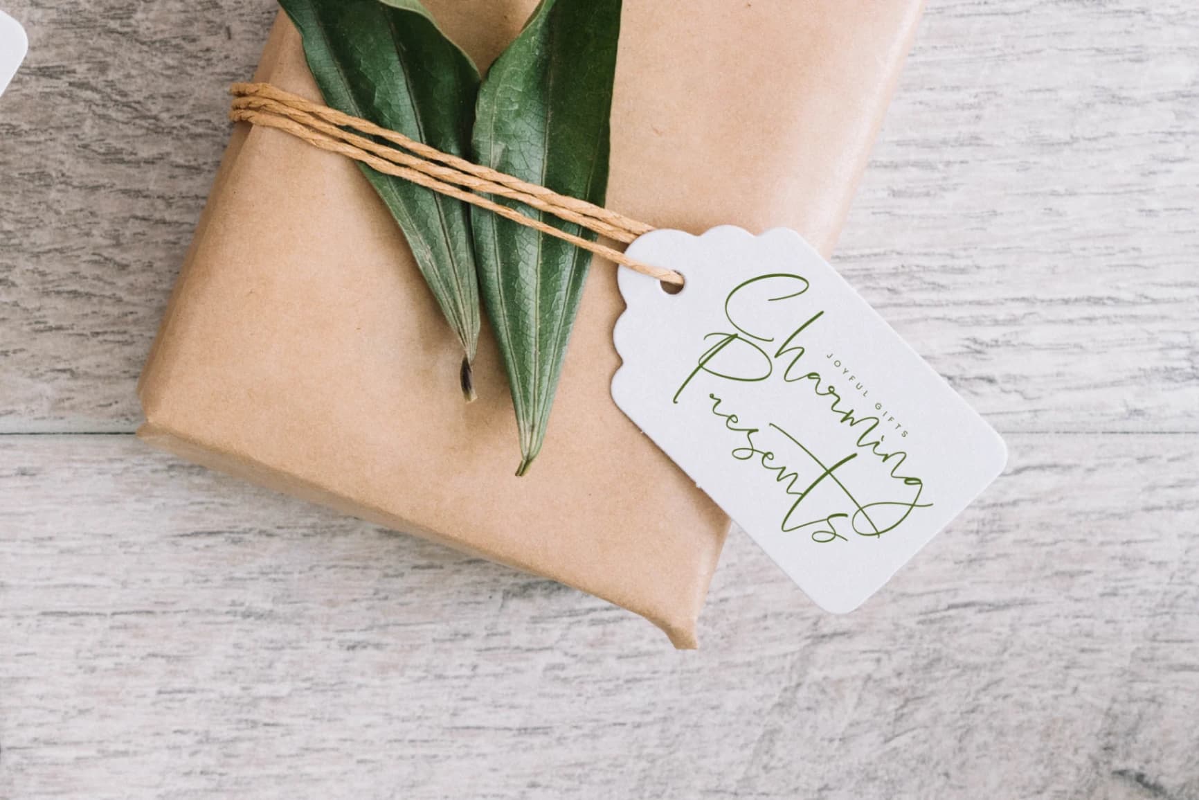 Preview 3 for Hideaway Camphions - Modern Handwritten Script