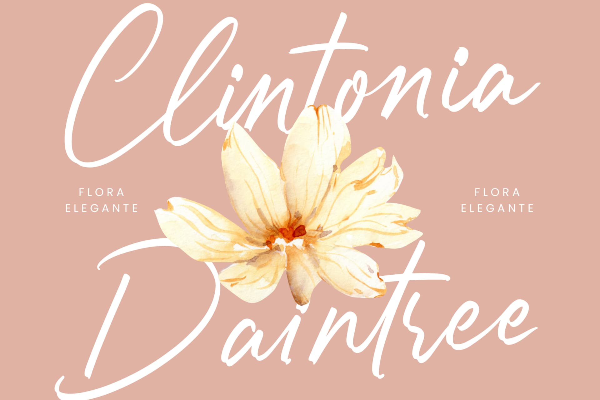 Preview 9 for Chatryne Stugarl - Stylish Handwritten