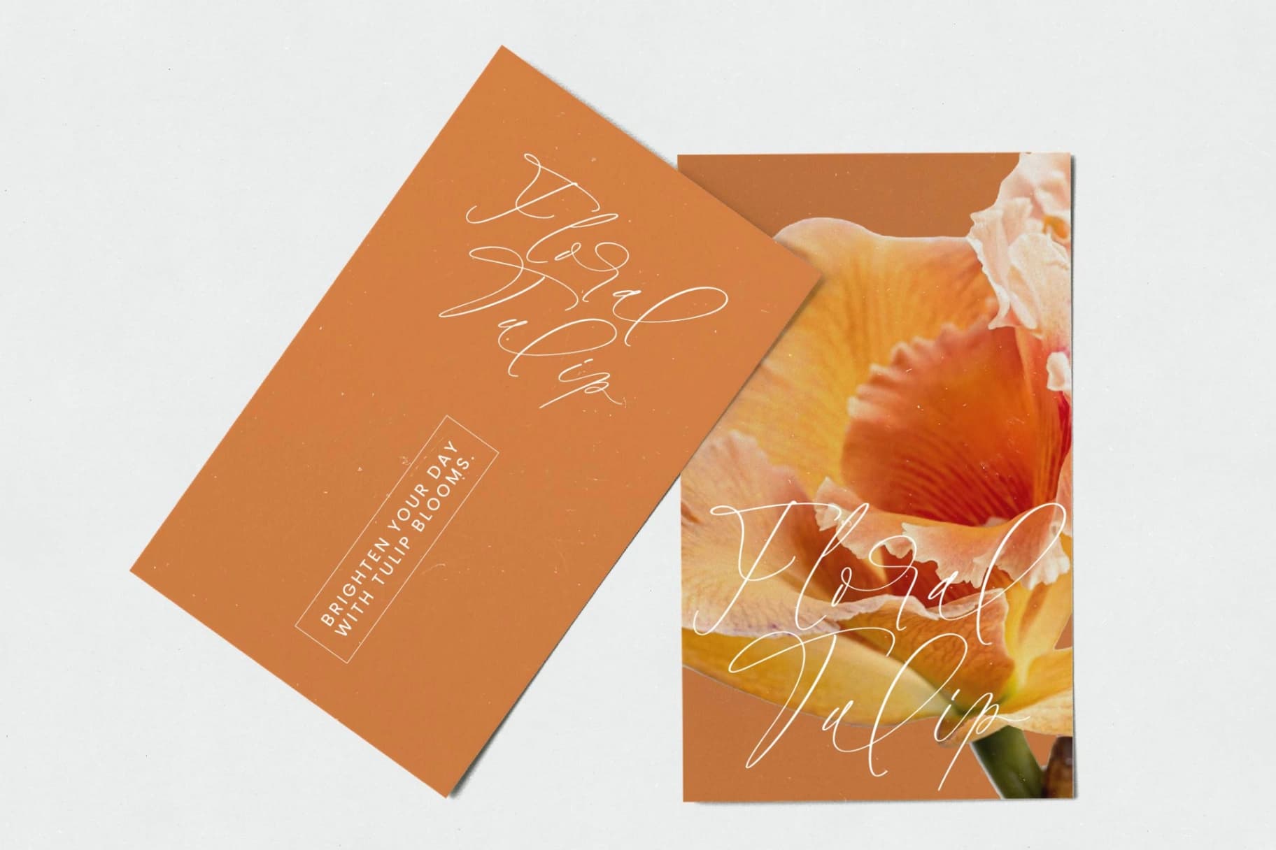 Preview 5 for Halista Rihana - Stylish Beauty Script Font