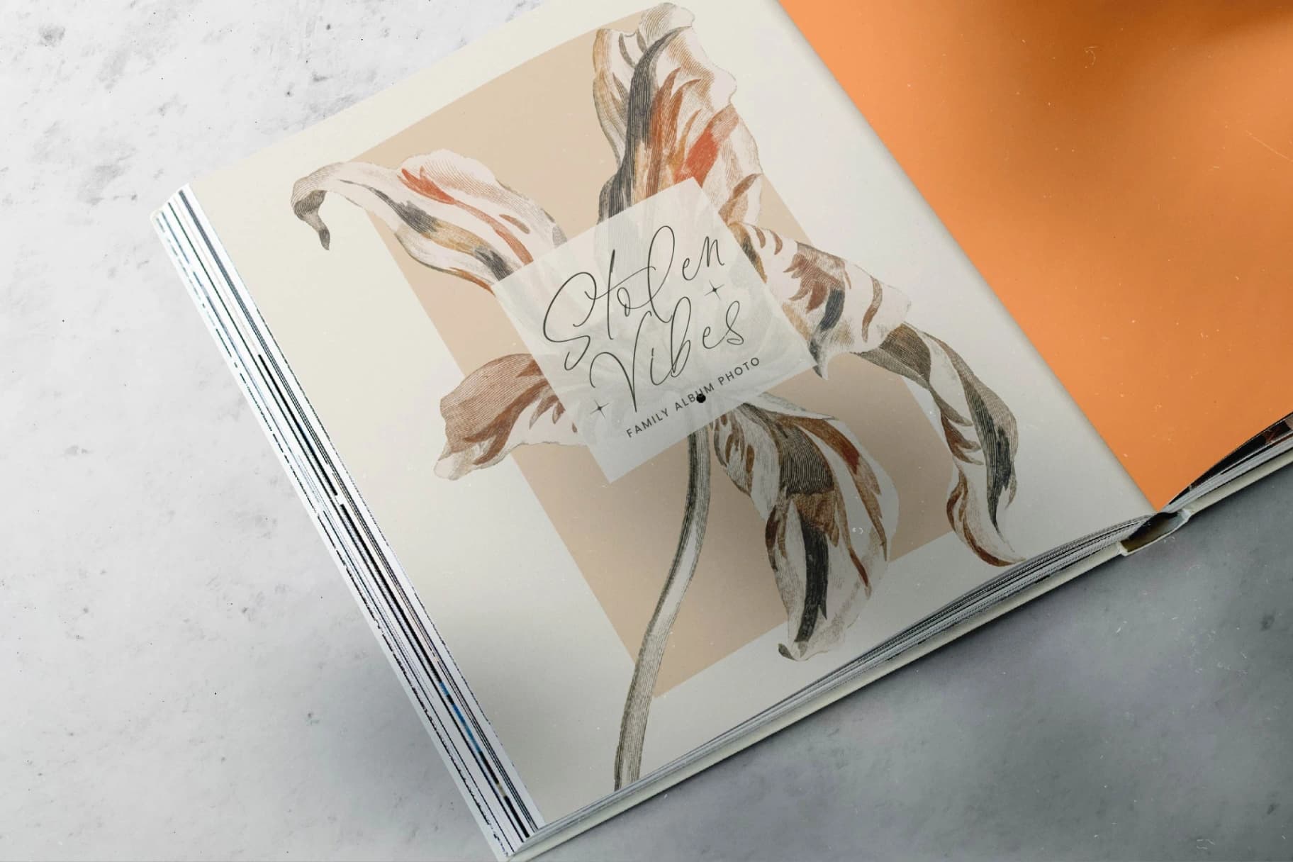 Preview 11 for Halista Rihana - Stylish Beauty Script Font