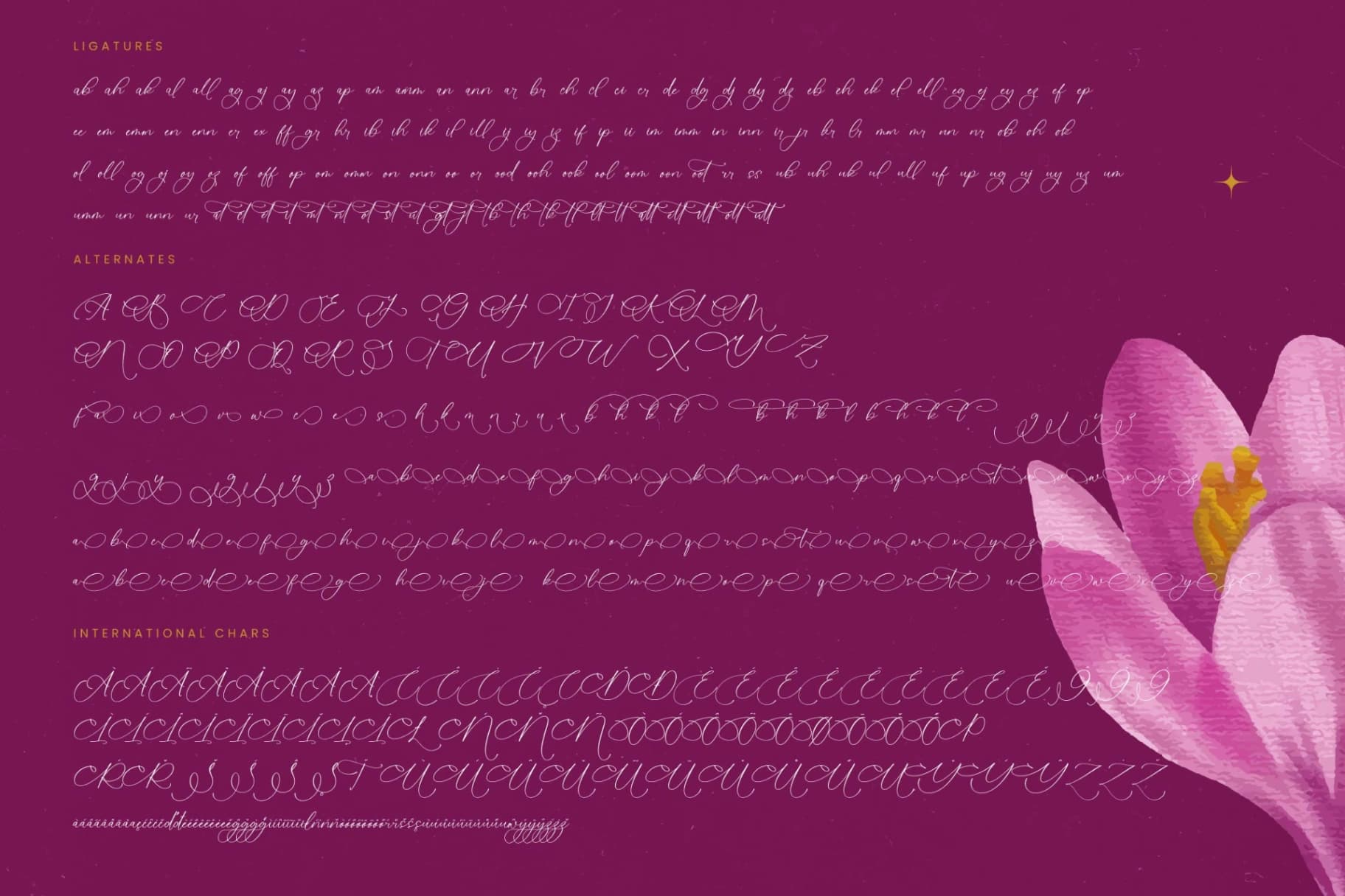 Preview 19 for Herlina Aliyah - Stylish Calligraphy Font