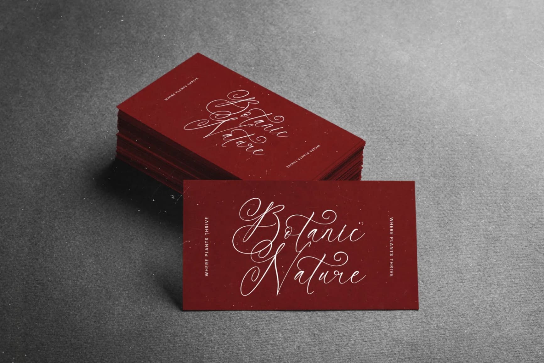 Preview 5 for Notheli Dahlia - Stylish Beauty Script Font
