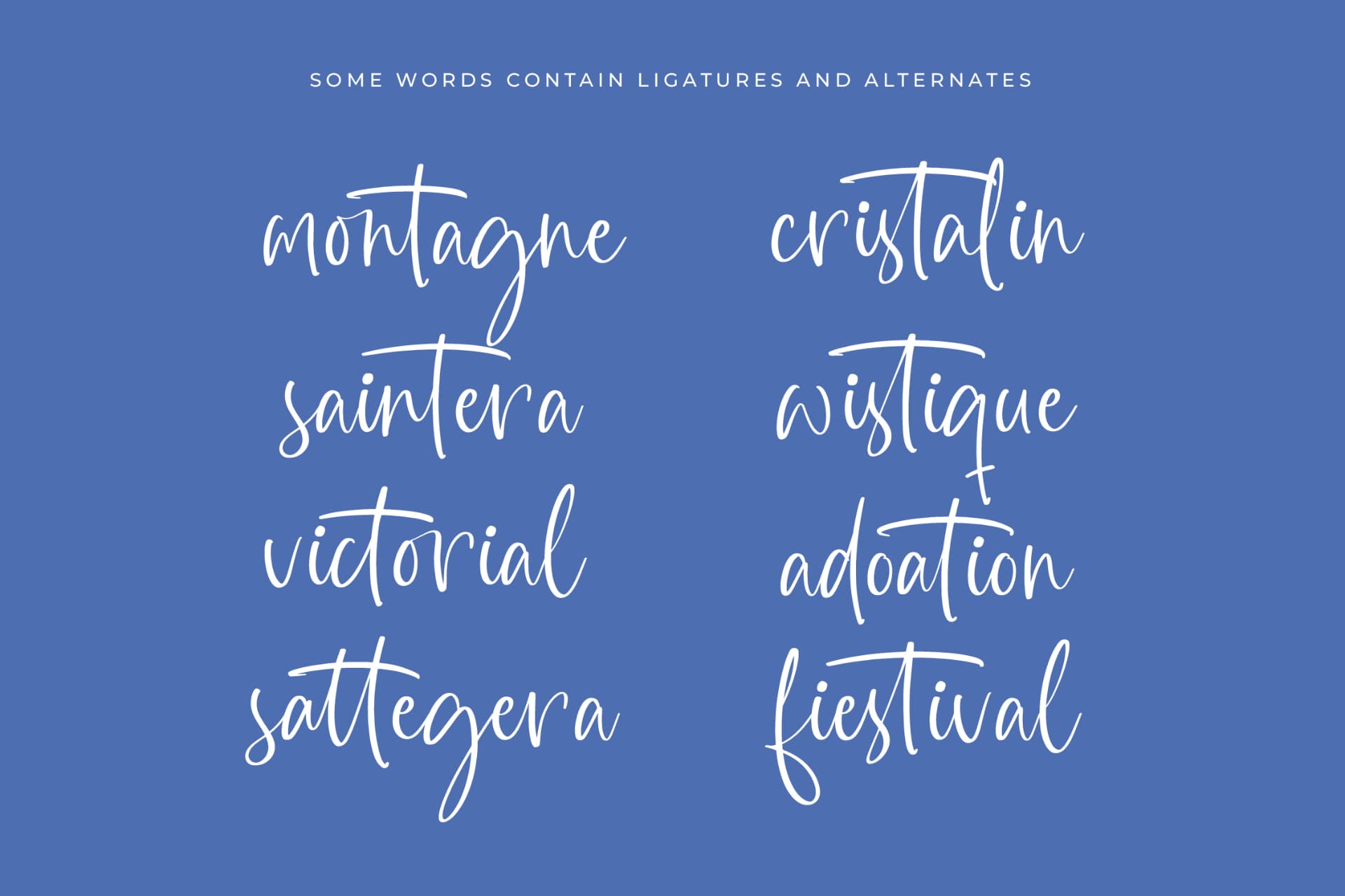 Preview 14 for Highest Bluebell - Natural Handwritten Font