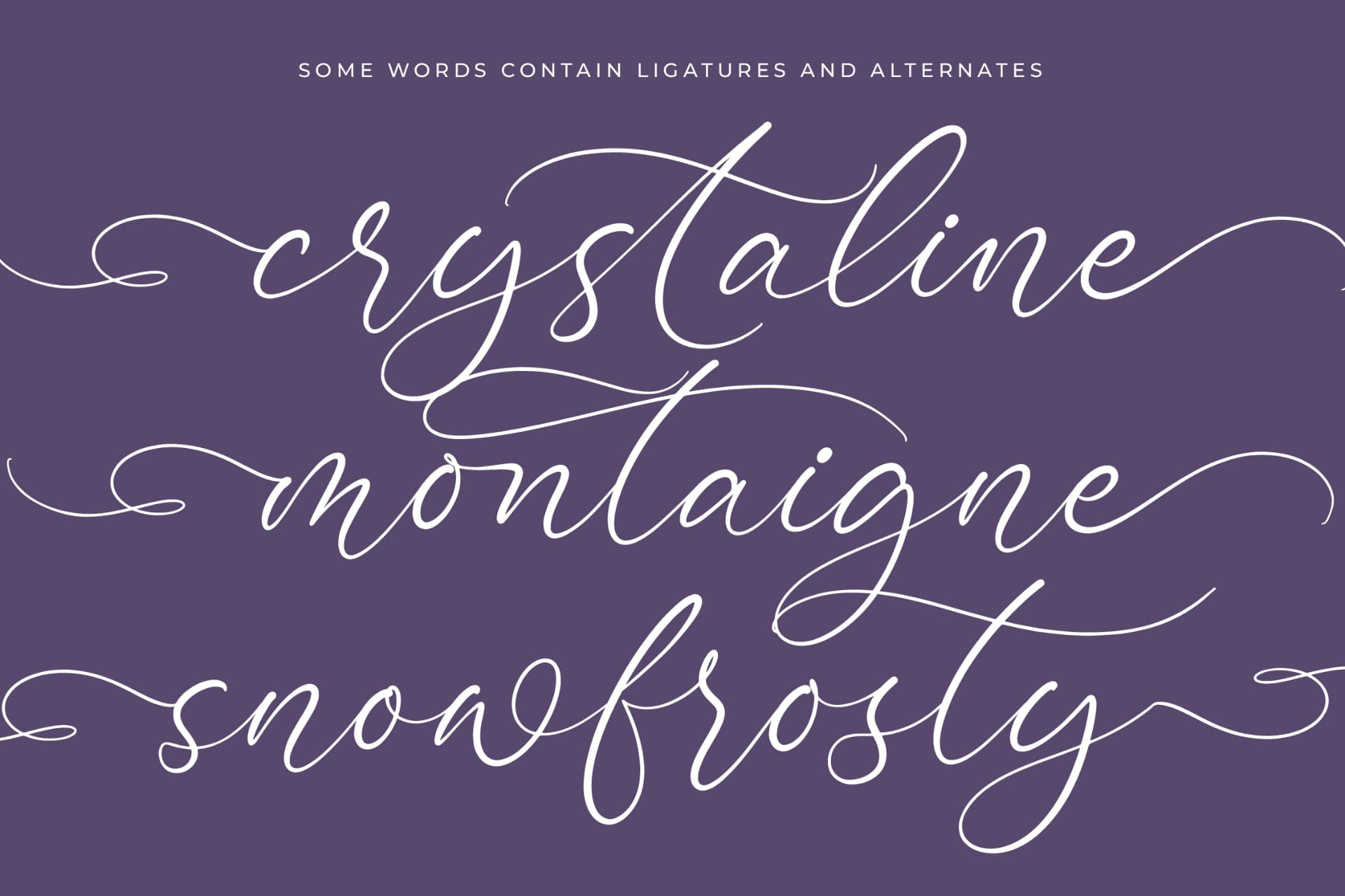 Preview 15 for Bottonia Scottella - Stylish Calligraphy Font