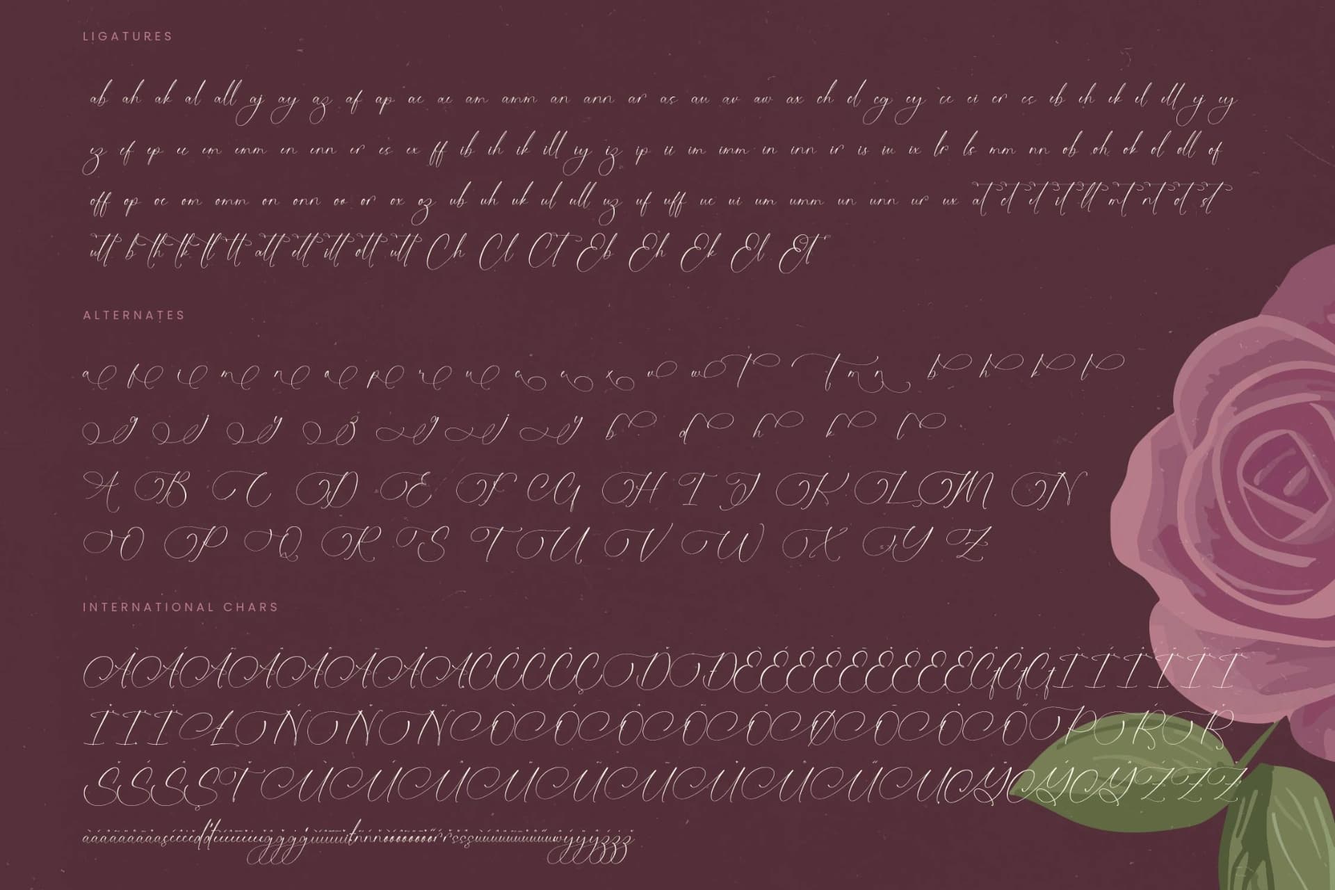 Preview 19 for Michelin Samantha - Stylish Calligraphy Font