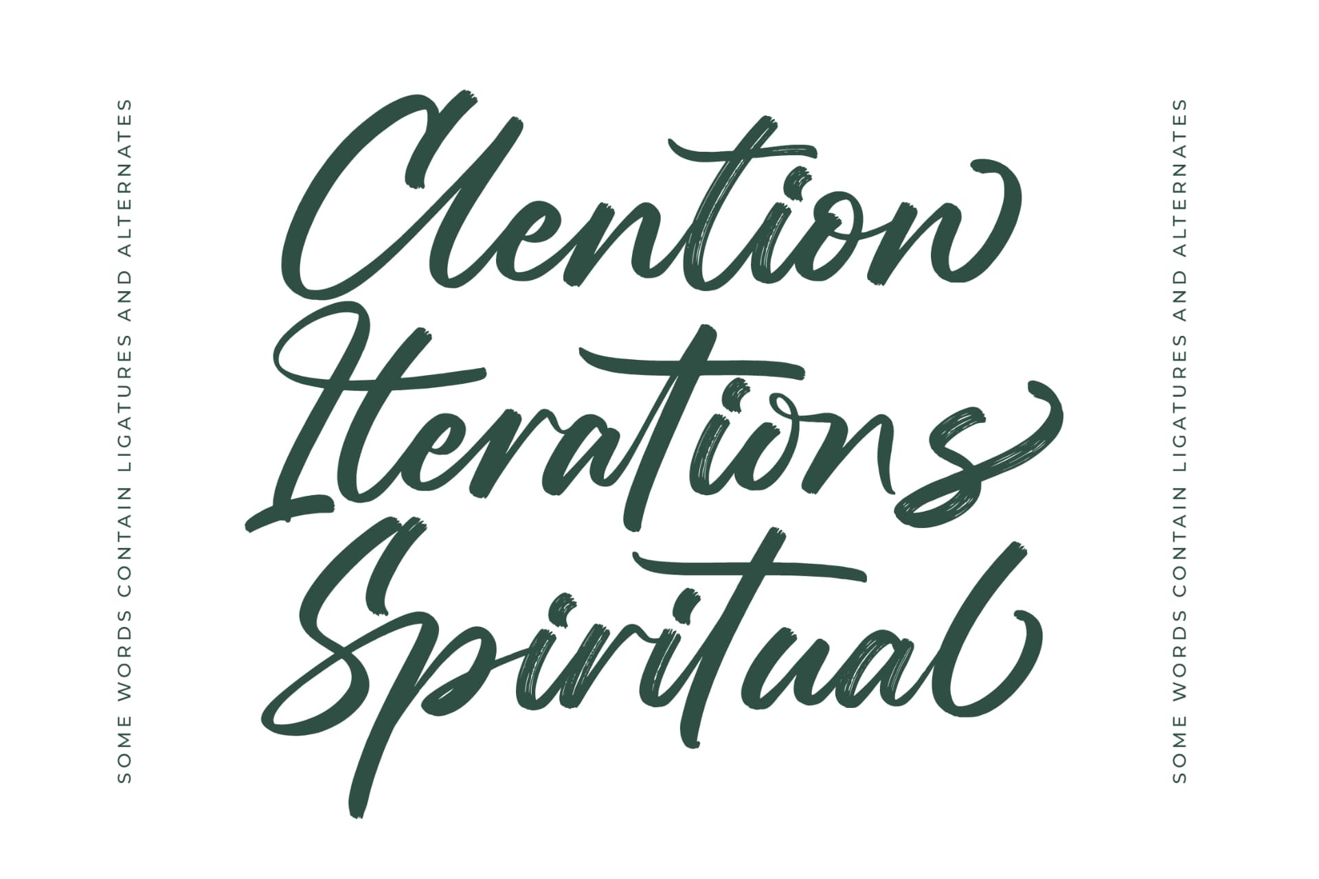 Preview 14 for Straight Pathart - Modern Brush Font