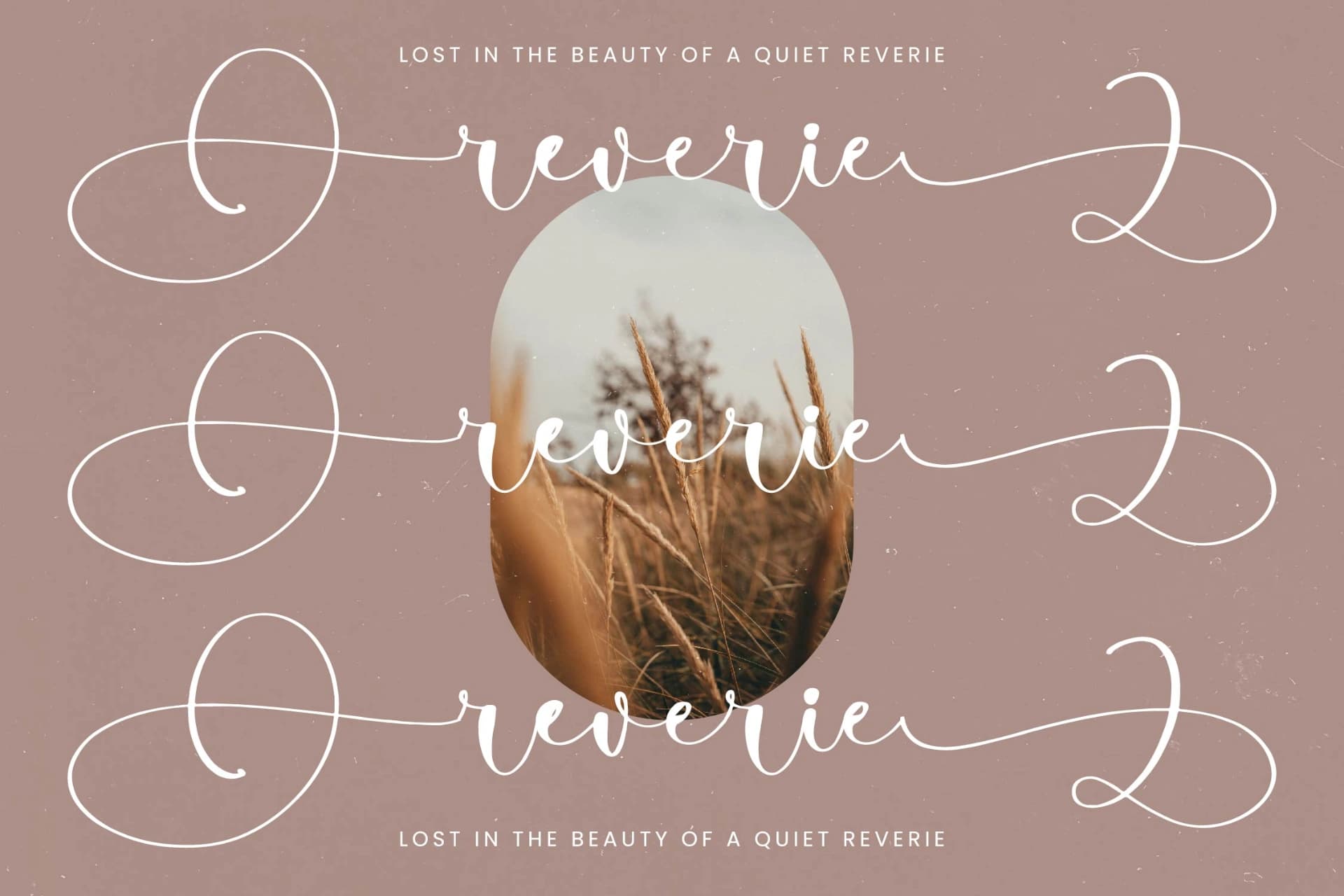Preview 6 for Tamylors Landry - Stylish Calligraphy Font