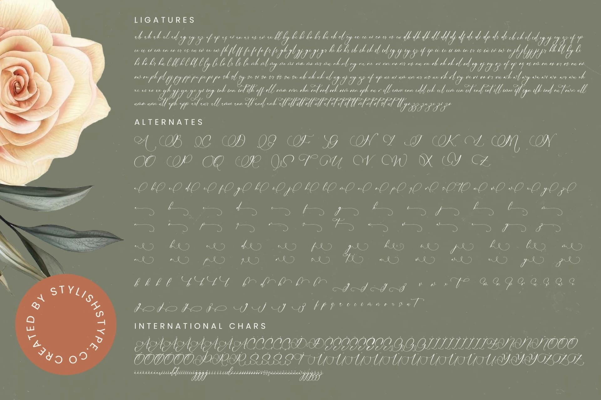 Preview 19 for Nourisha Besthafi - Stylish Calligraphy Font