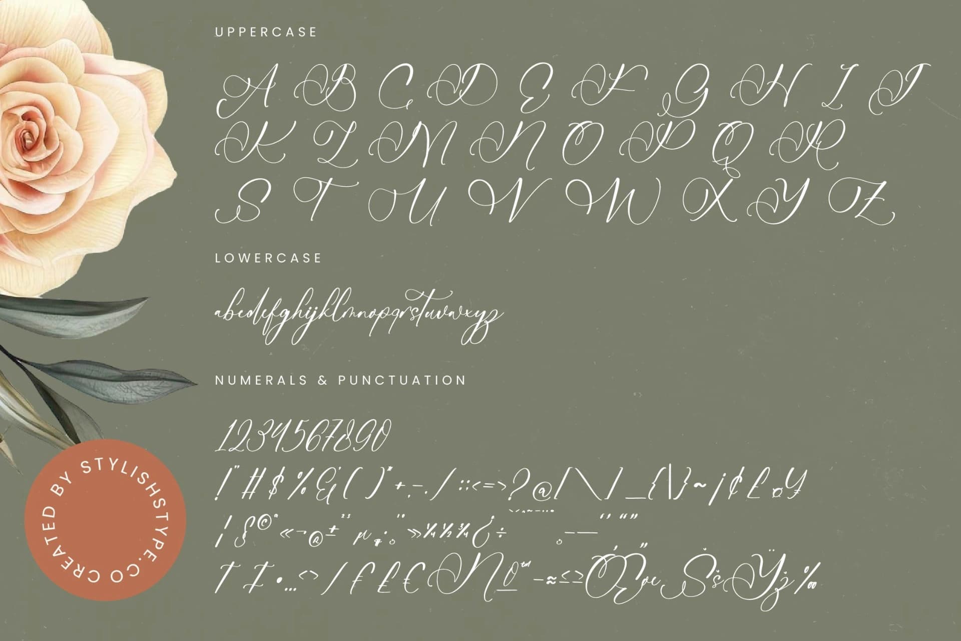 Preview 18 for Nourisha Besthafi - Stylish Calligraphy Font