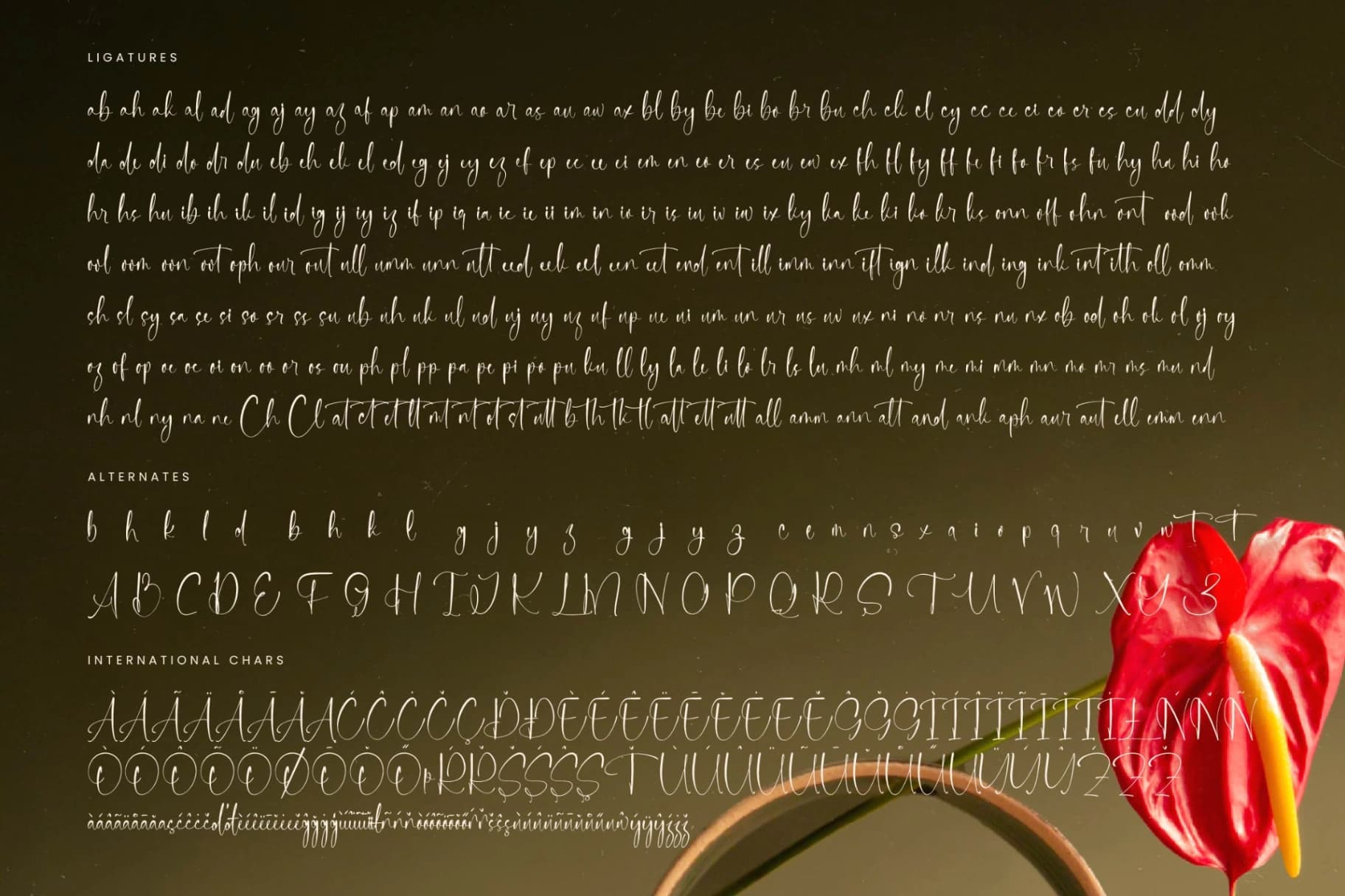 Preview 19 for Delicately - Stylish Handwritten Font