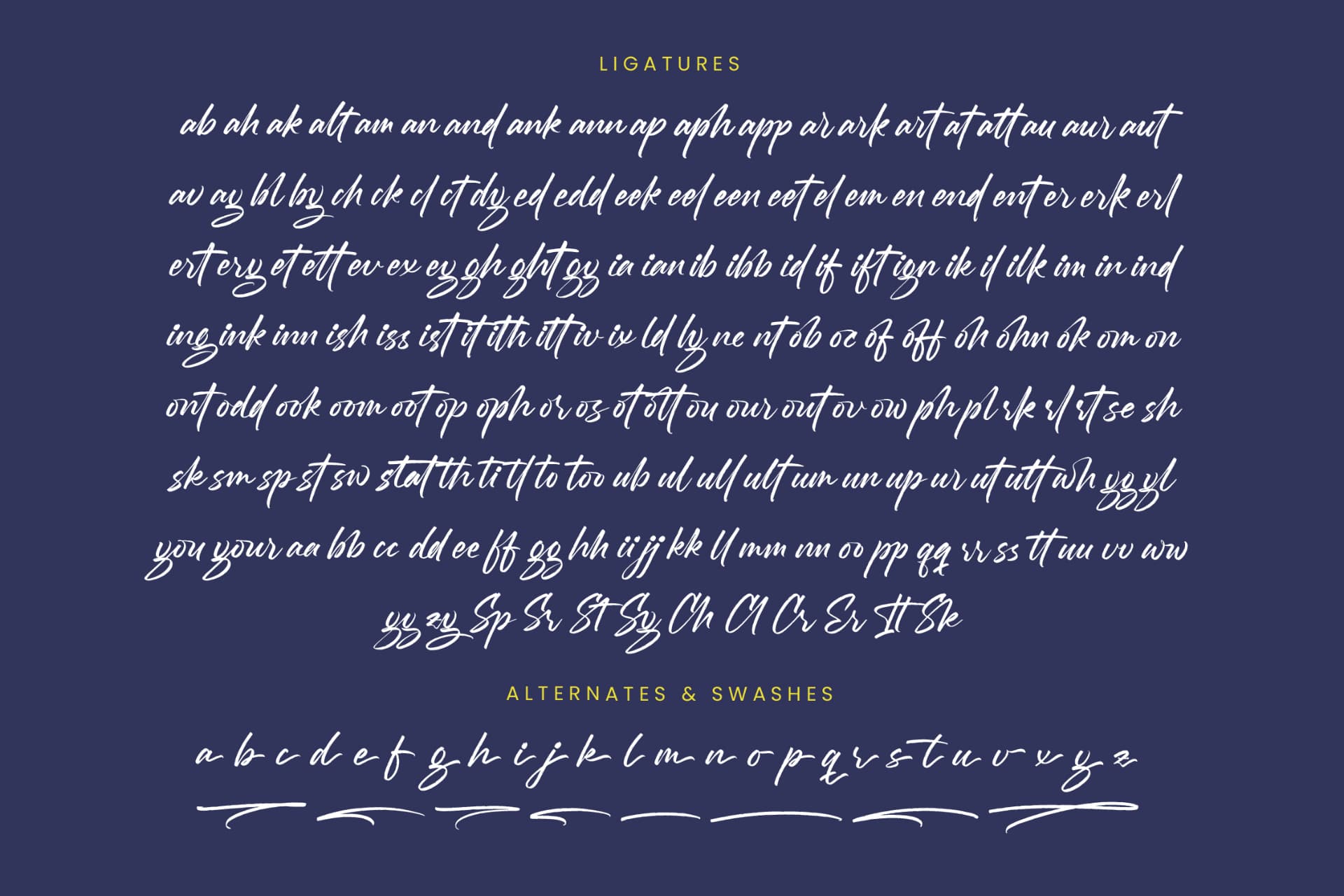 Preview 19 for Mention Roberto - Modern Brush Font