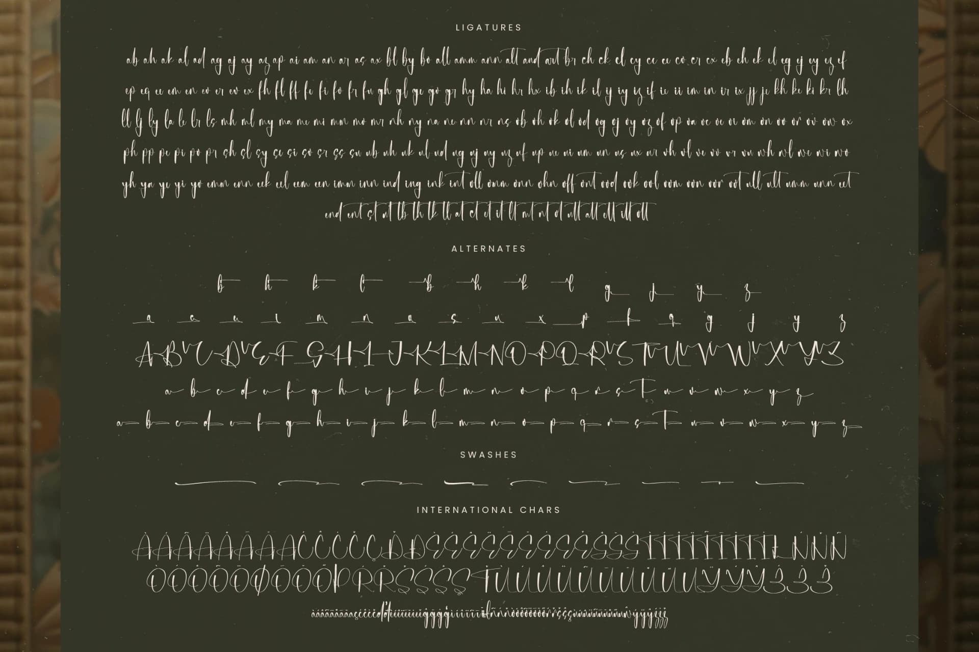 Preview 19 for Michelyne - Stylish Signature Font