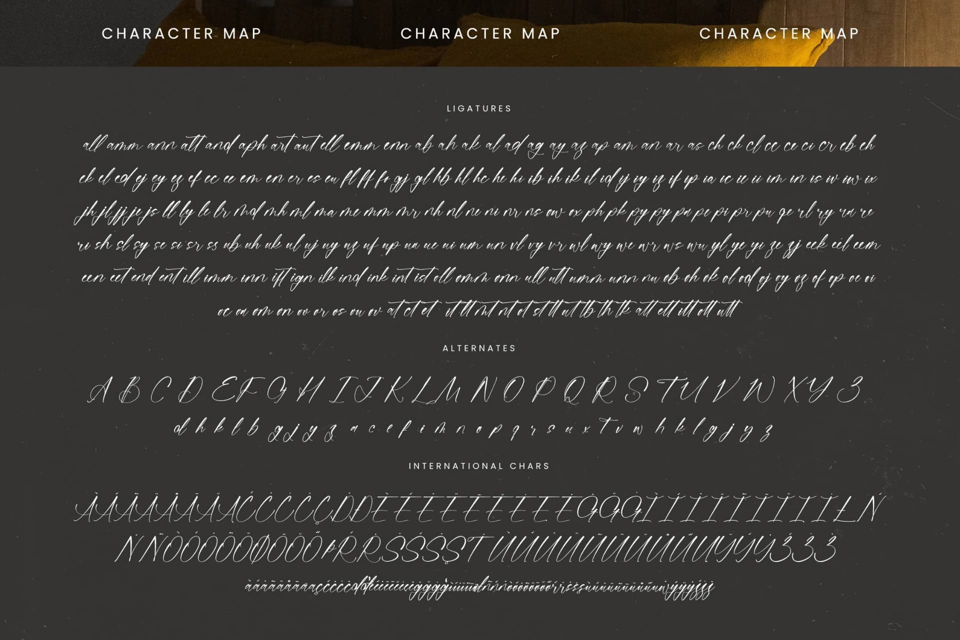Preview 19 for Homestay Nighter - Stylish Handwritten Font