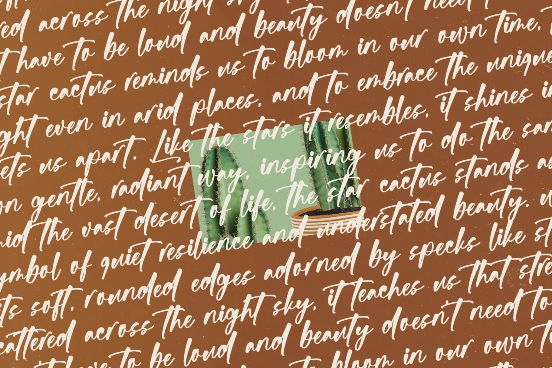 Preview 14 for Bartely Cactus - Natural Handwritten Font