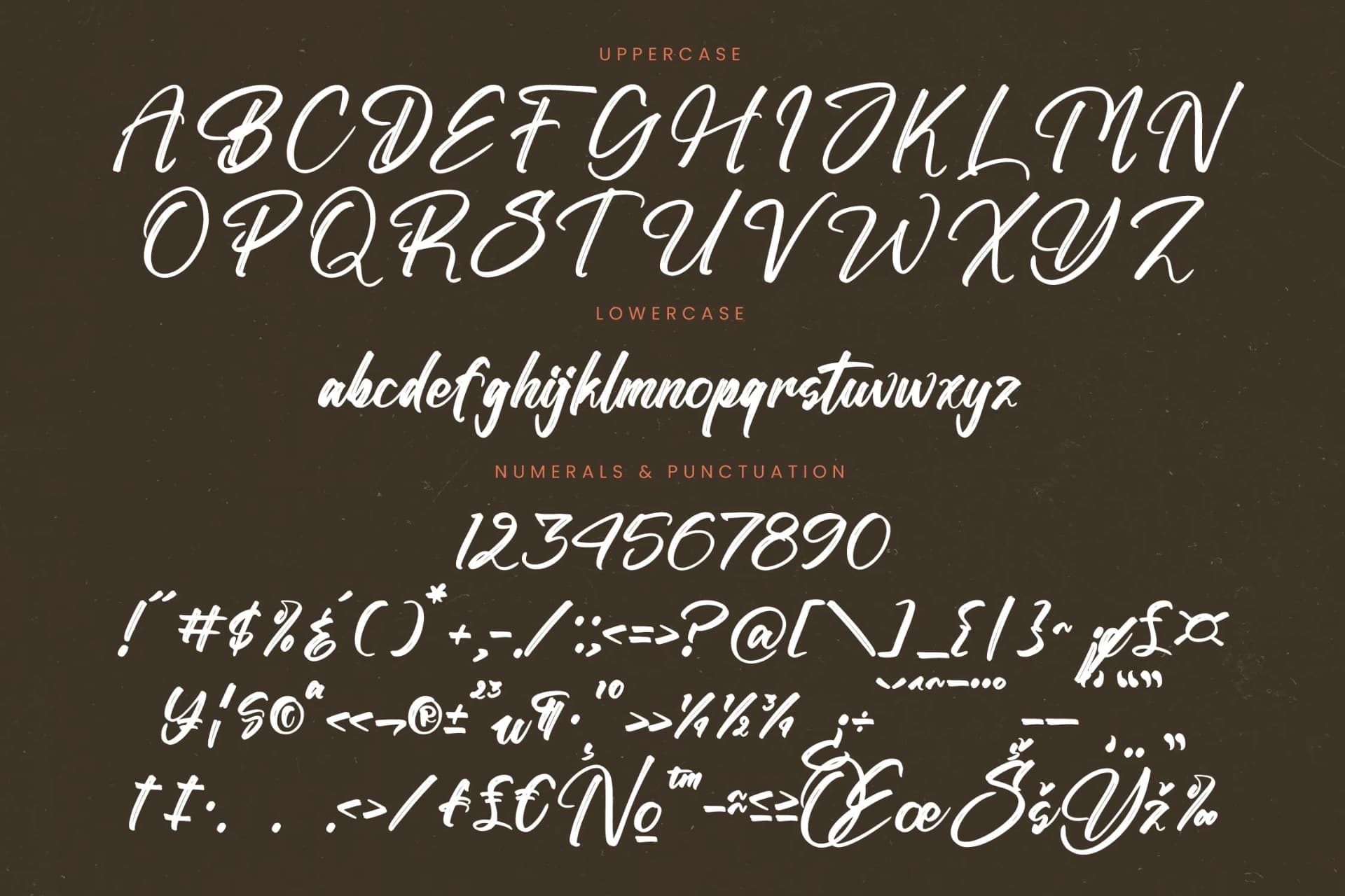 Preview 18 for Stoplight - Bold Calligraphy Font