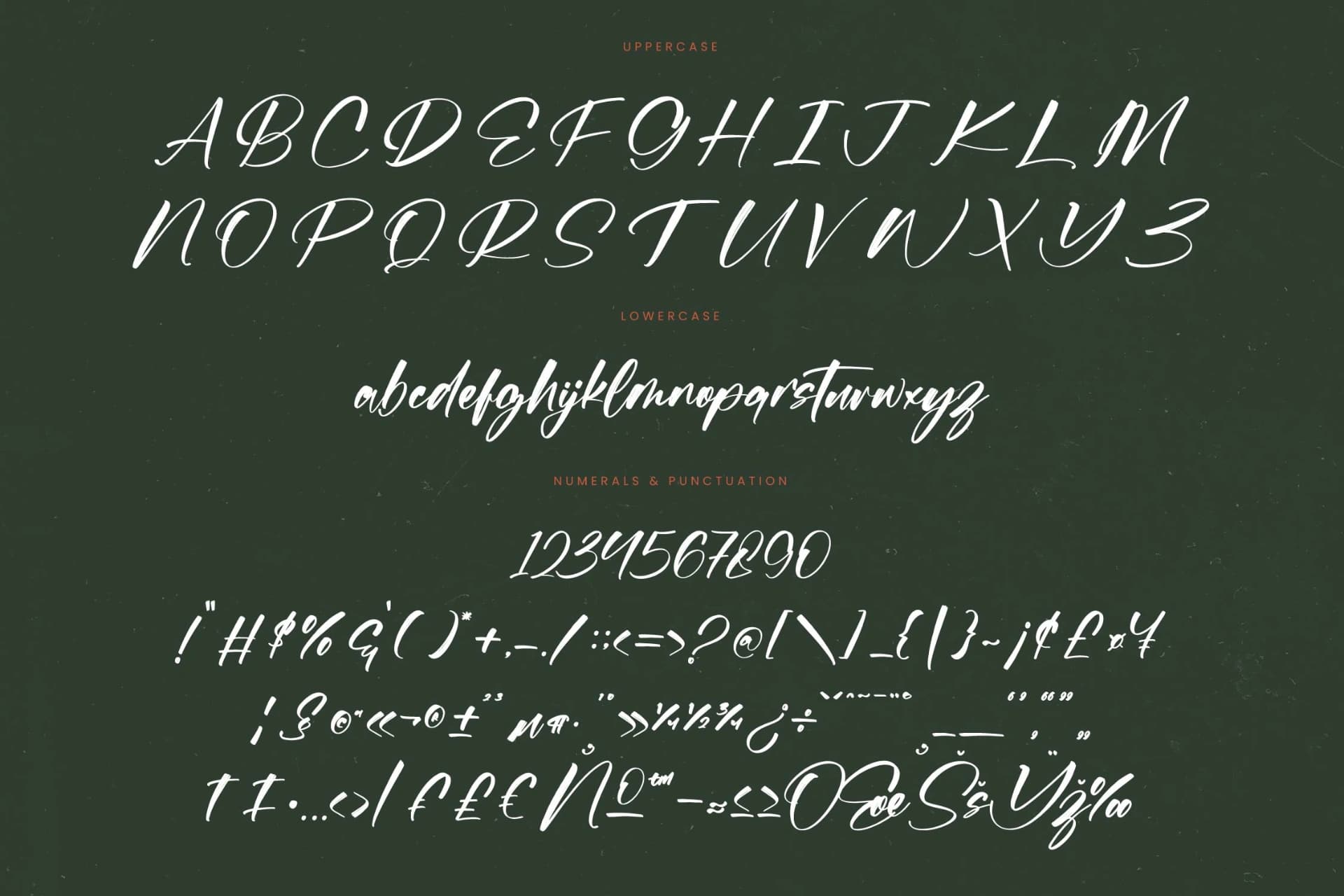 Preview 18 for Flusteria Routine - Modern Brush Font