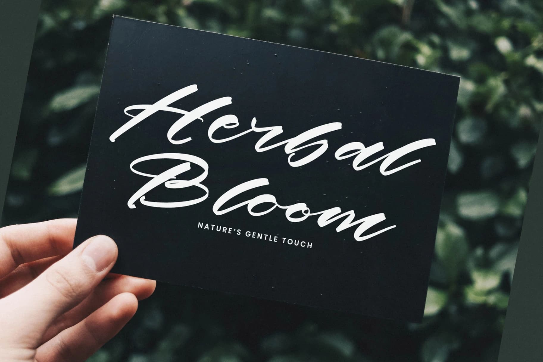 Preview 14 for History Kindes - Modern Calligraphy Script Font