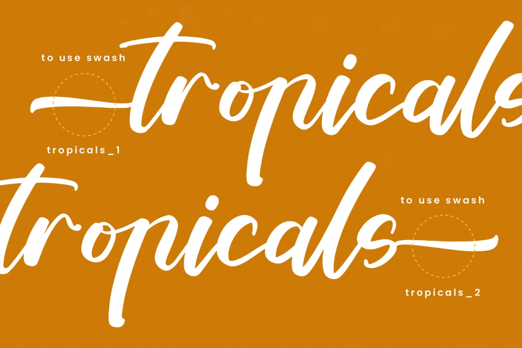Preview 6 for Tropical Crystals - Bold Calligraphy Font