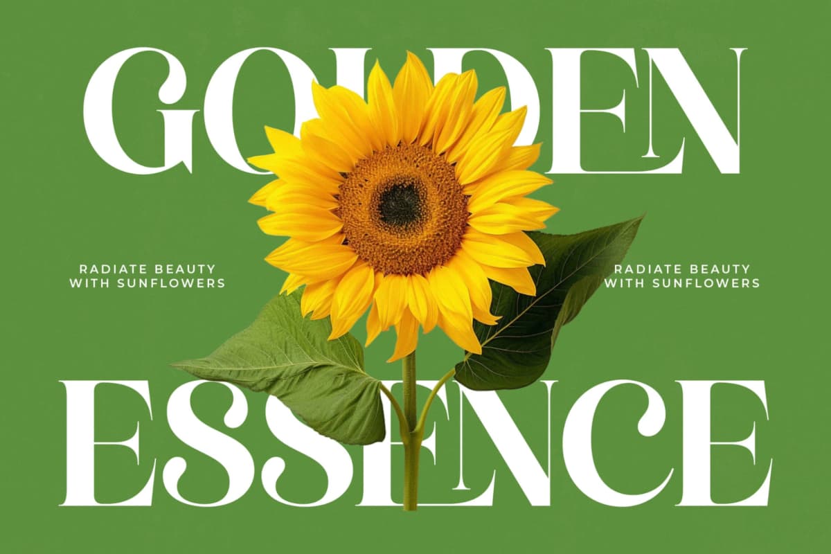 Manile Vintage - Modern Bold Serif font preview 8