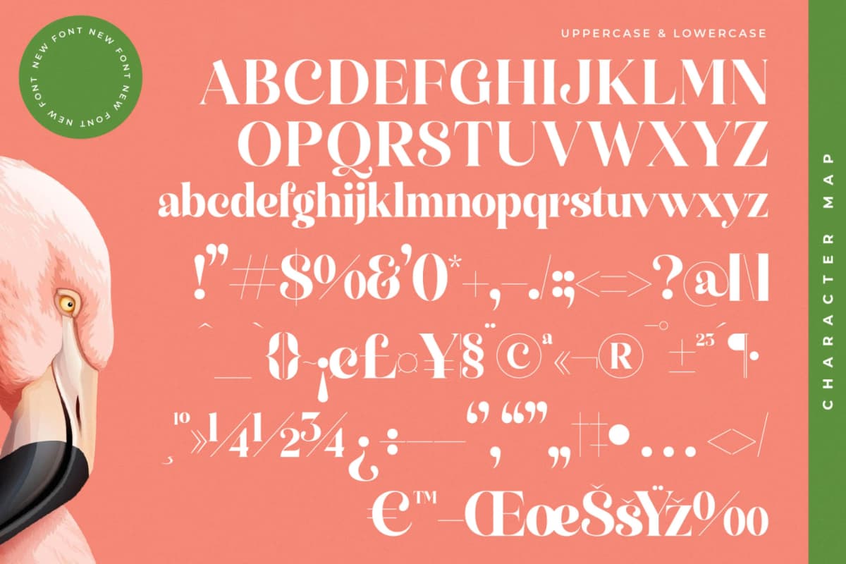 Manile Vintage - Modern Bold Serif font preview 18