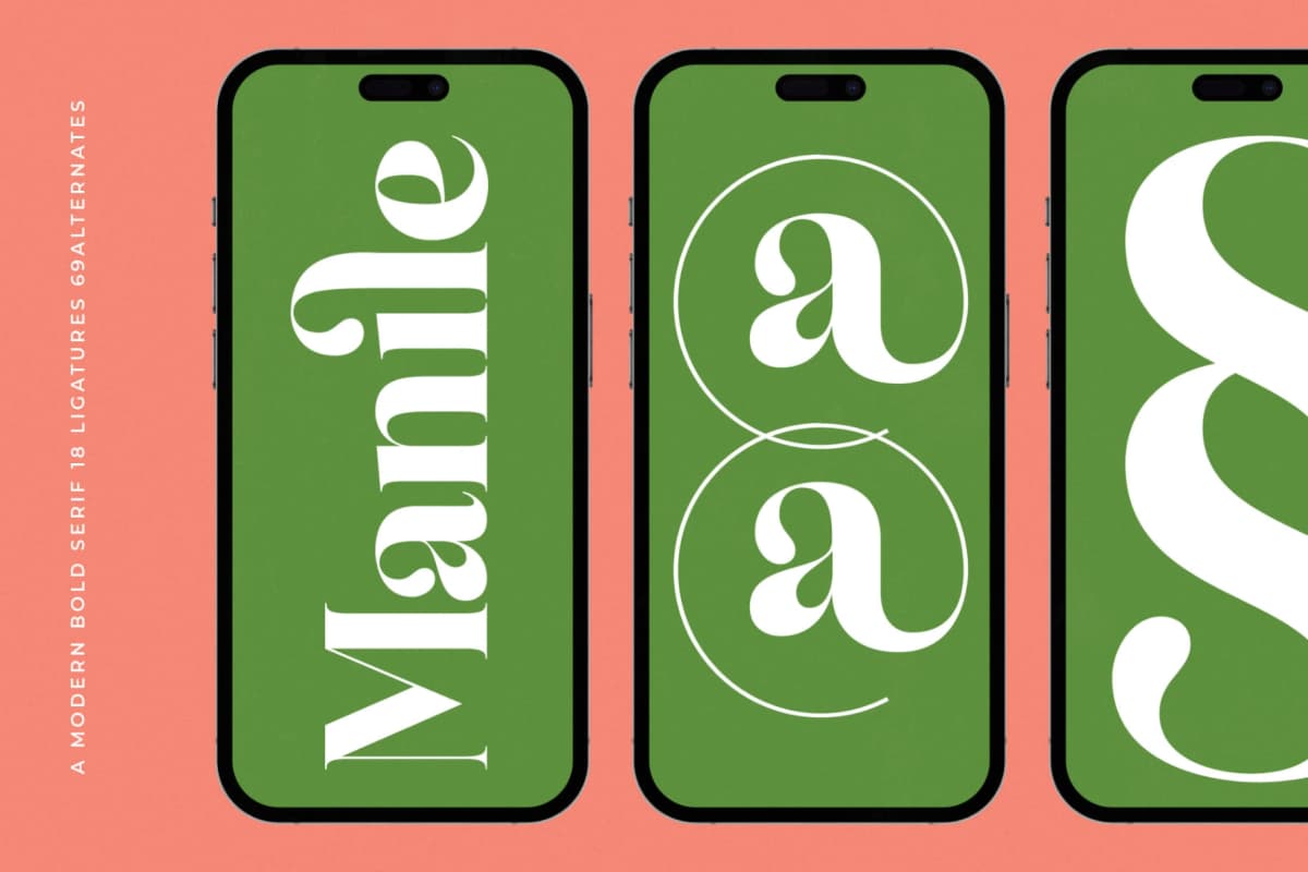 Manile Vintage - Modern Bold Serif font preview 13