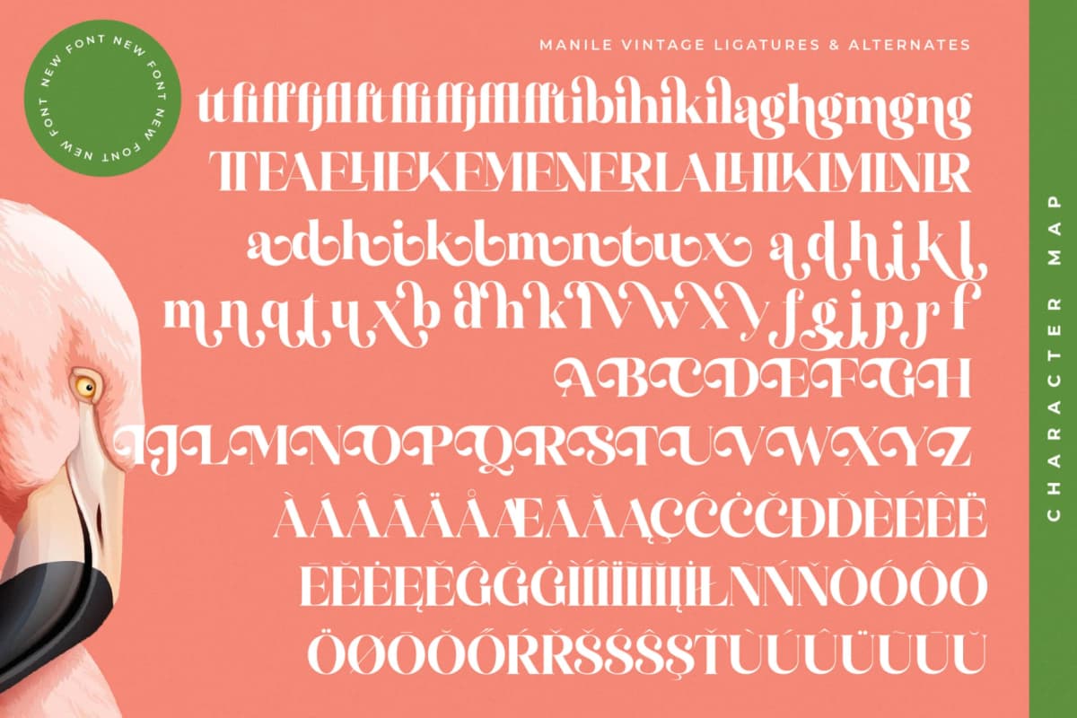 Manile Vintage - Modern Bold Serif font preview 19