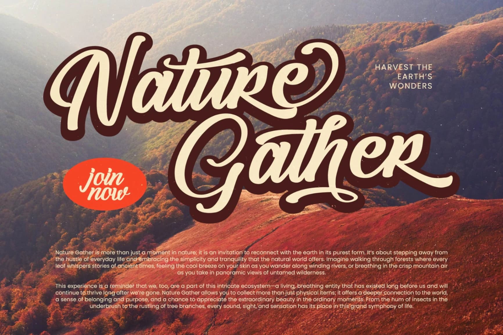 Preview 6 for Blathie - Bold Calligraphy Font
