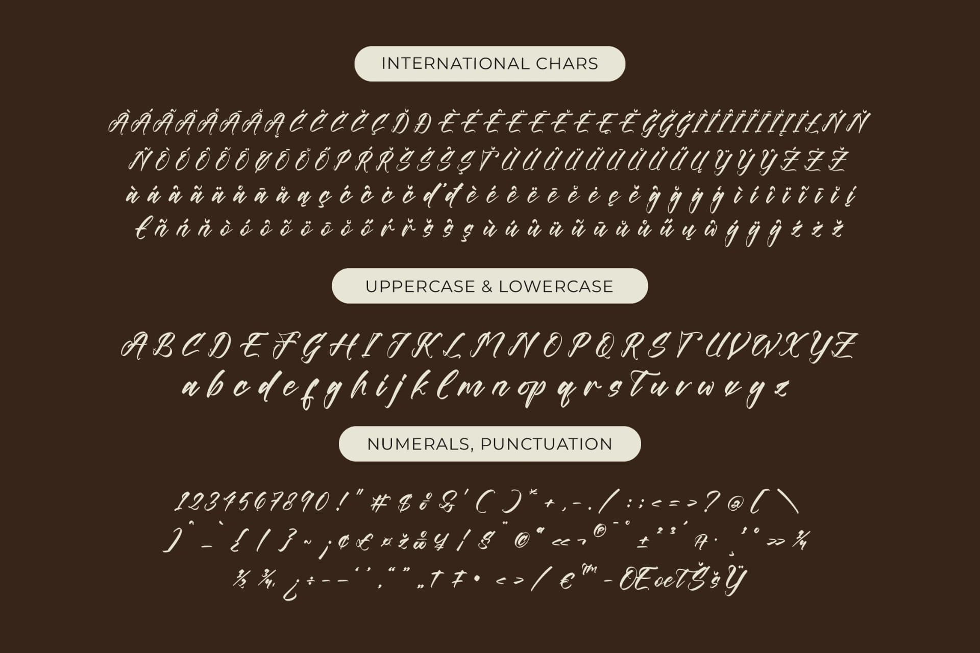 Preview 18 for Players Climber - Modern Handwritten Font