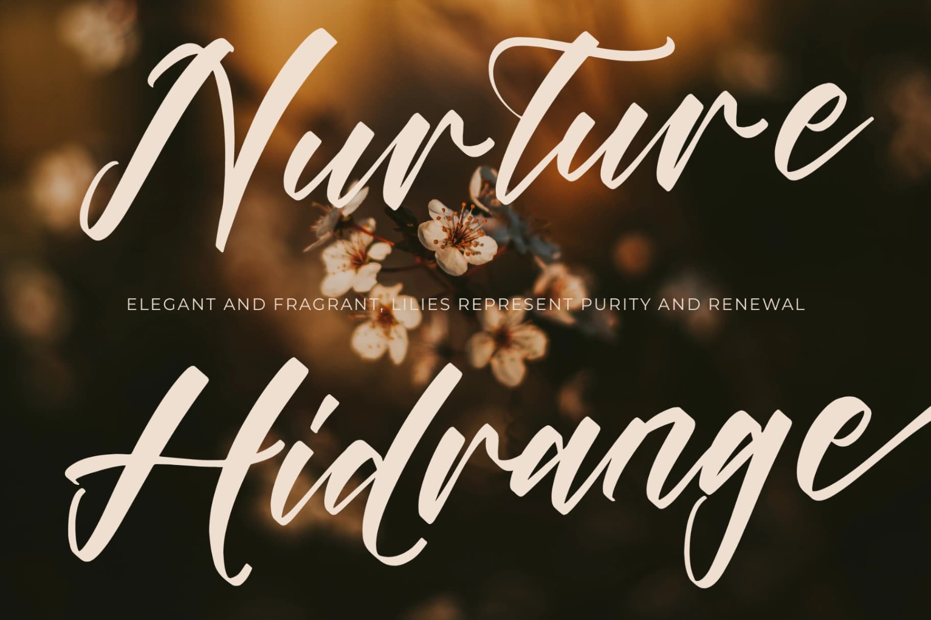 Preview 8 for Players Climber - Modern Handwritten Font