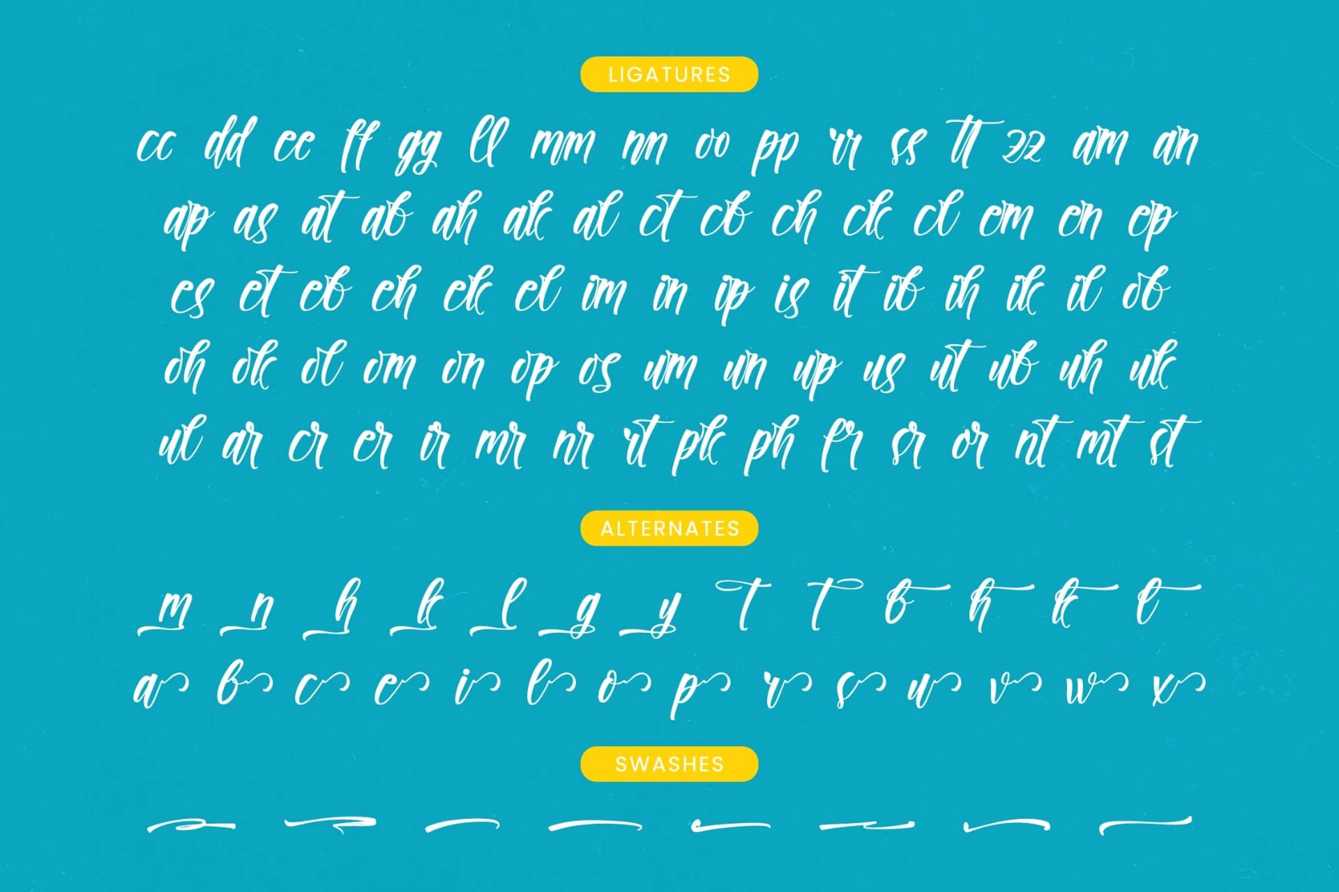 Preview 19 for Paradise Holistay - Bold Brush Font