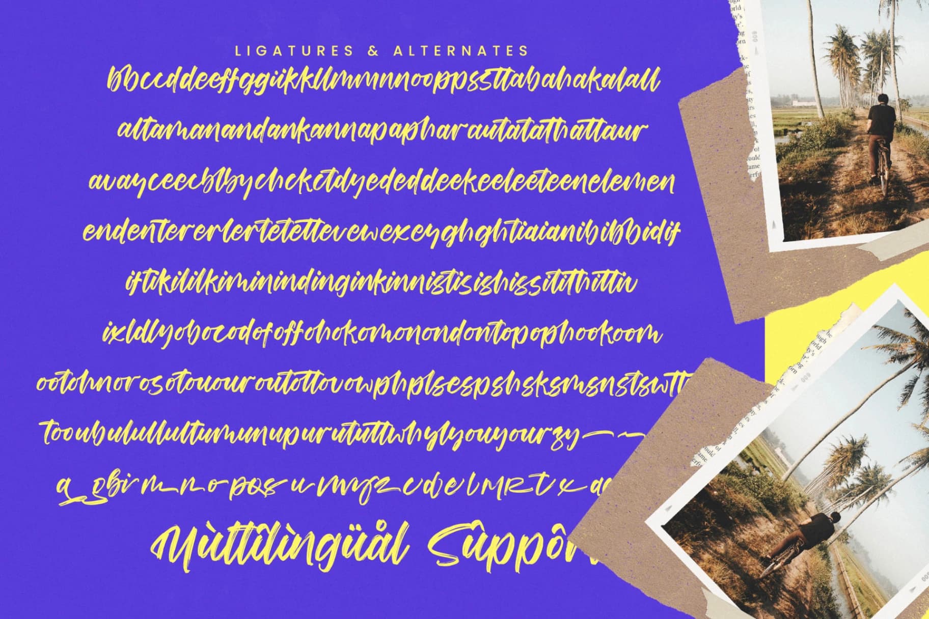 Preview 18 for Joyfuls Stories - Modern Handwritten Brush